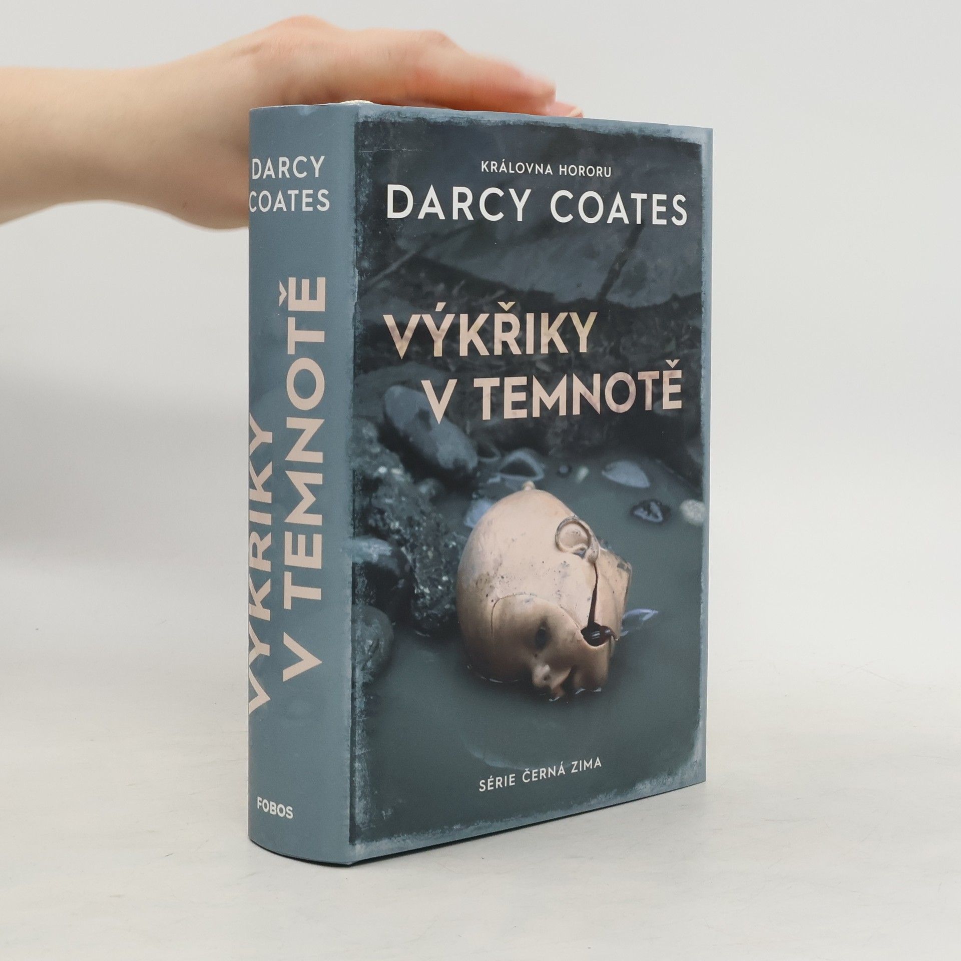 Darcy Coates Výkřiky v temnotě