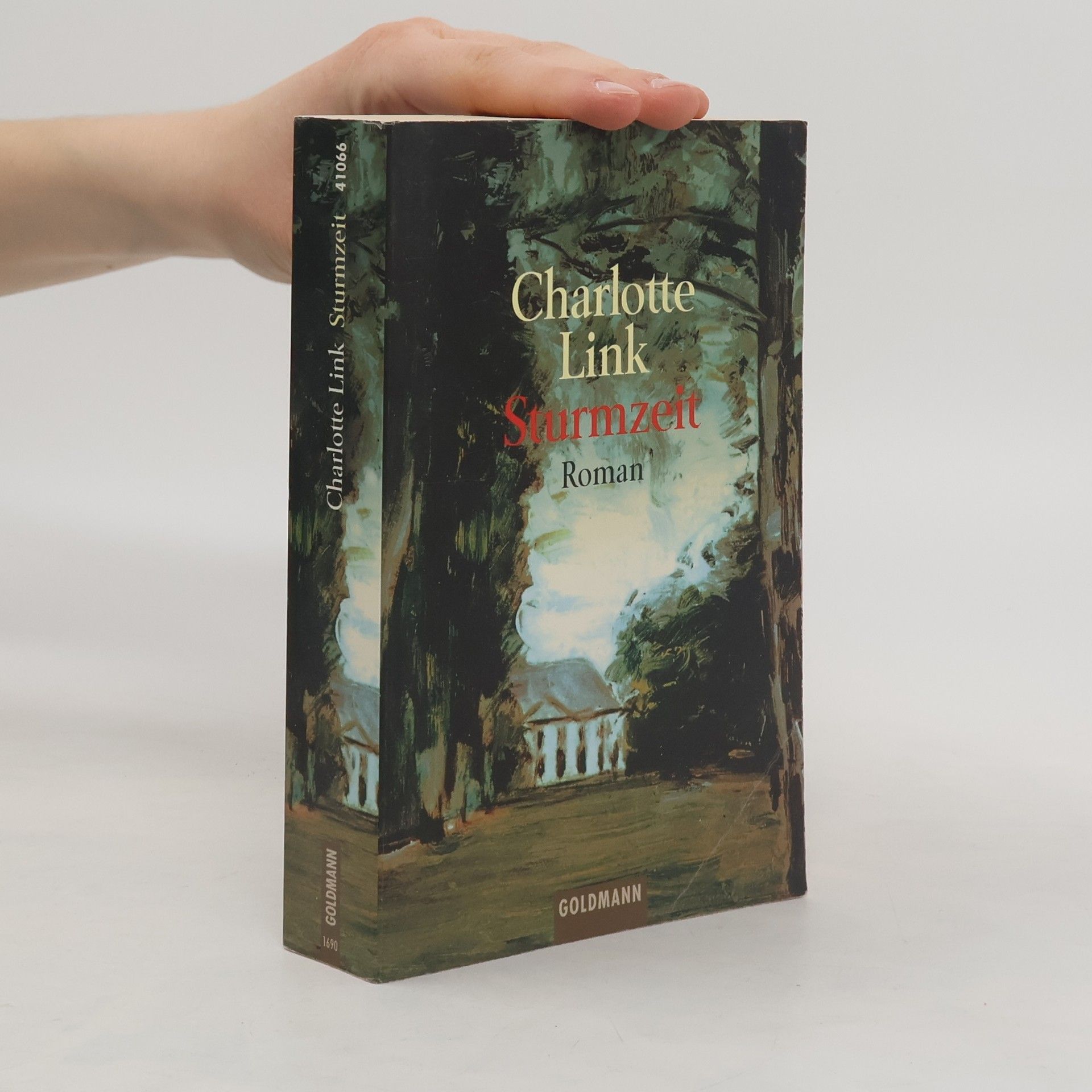 Charlotte Link Sturmzeit