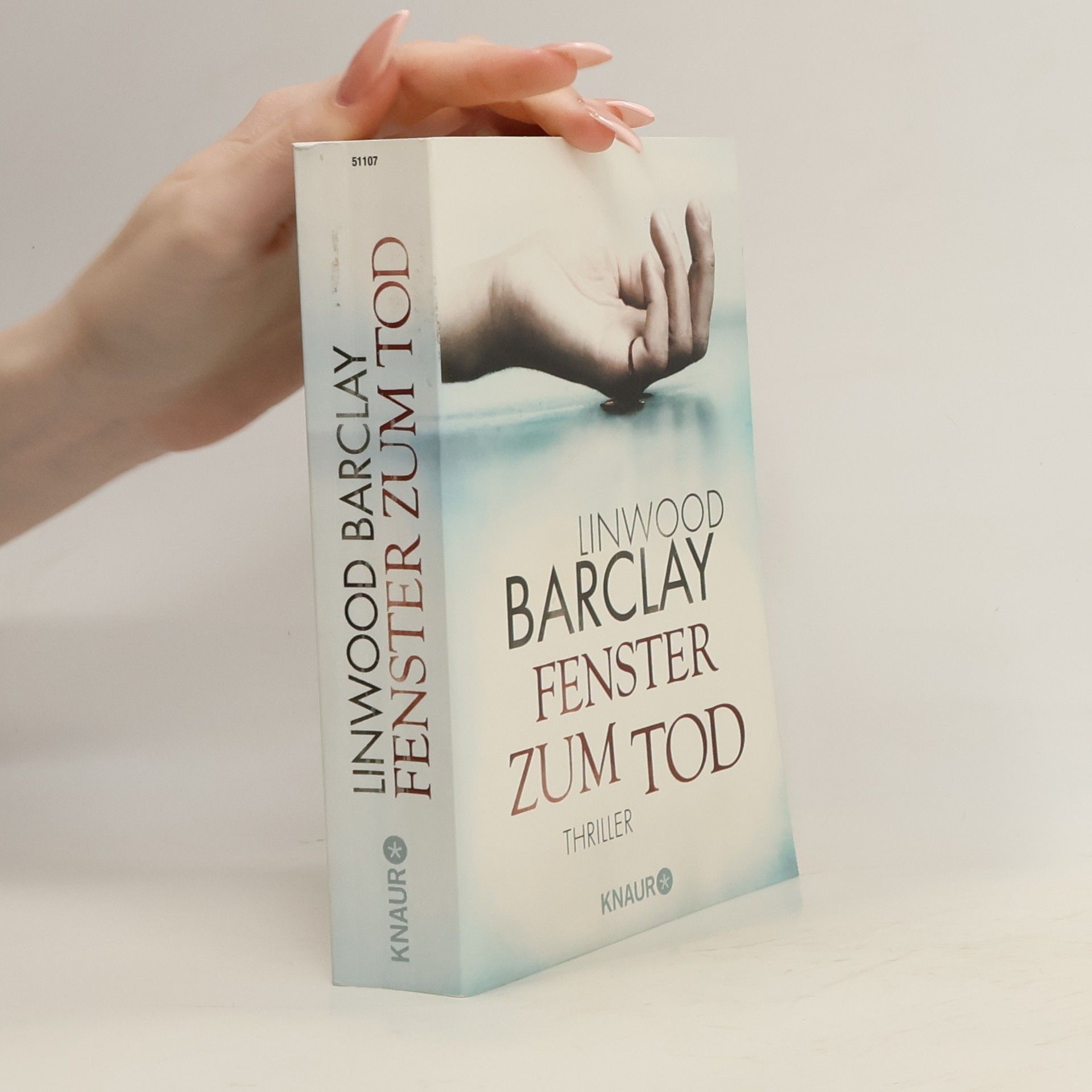 Linwood Barclay Fenster zum Tod