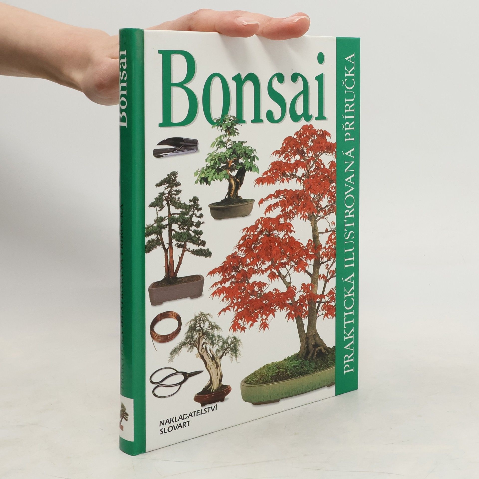 Dana Wiesnerová Bonsai. Praktická ilustrovaná příručka