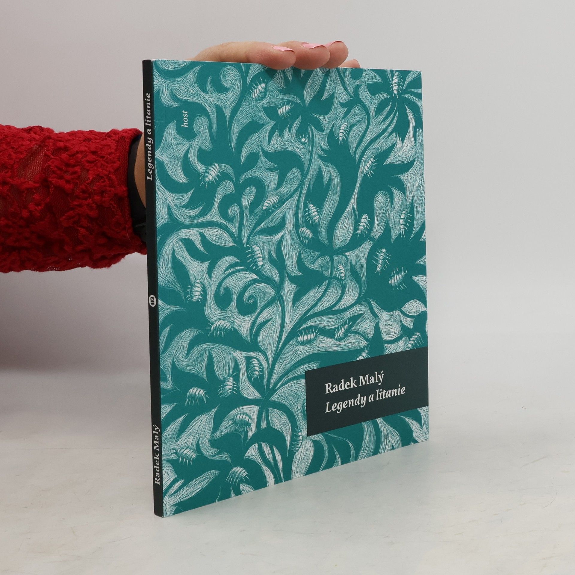 Radek Malý Legendy a litanie