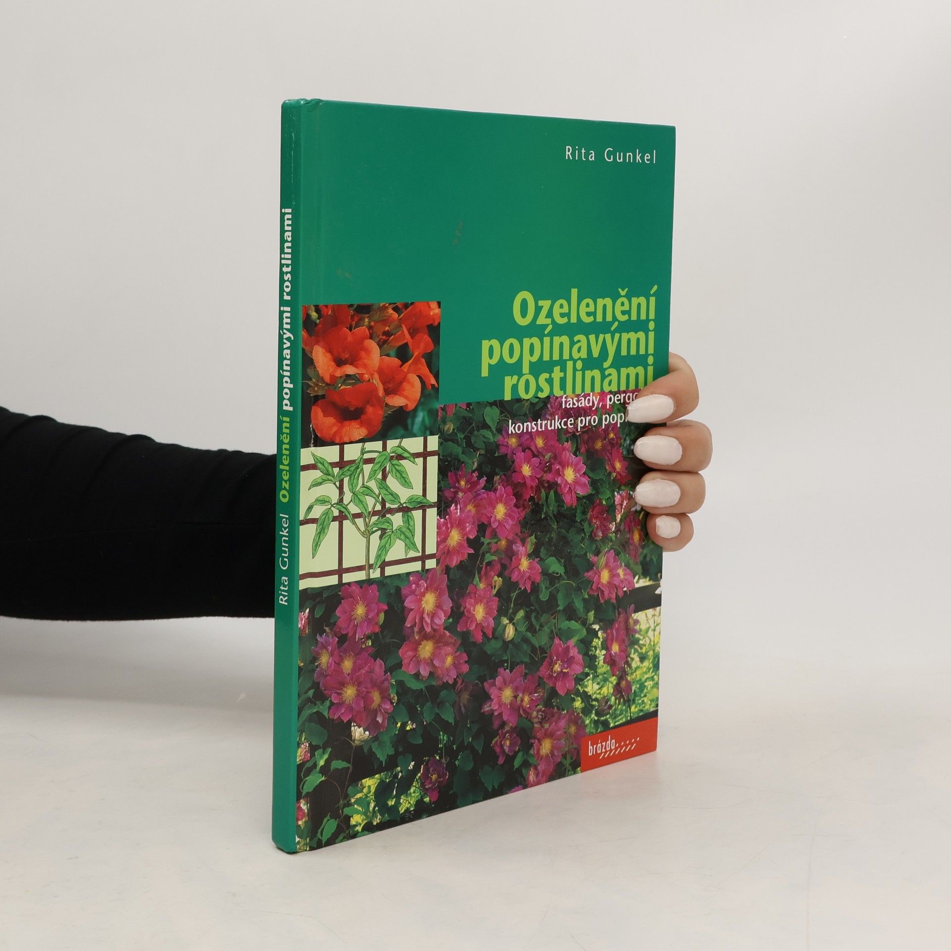 Rita Gunkel Ozelenění popínavými rostlinami