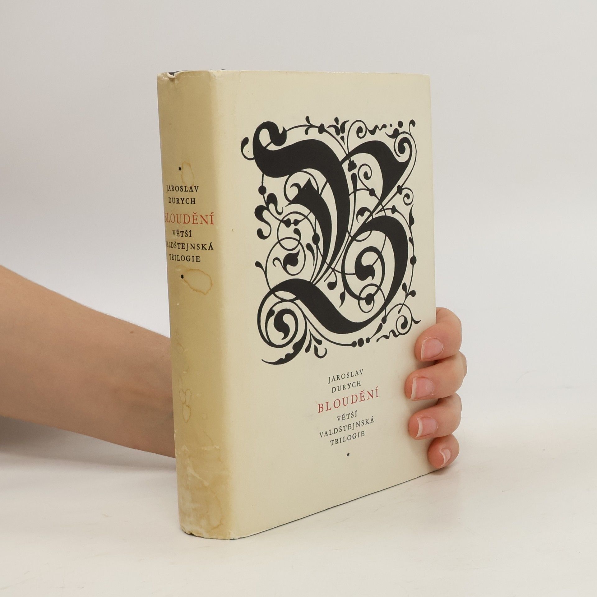 Jaroslav Durych Bloudění. Větší valdštejnská trilogie