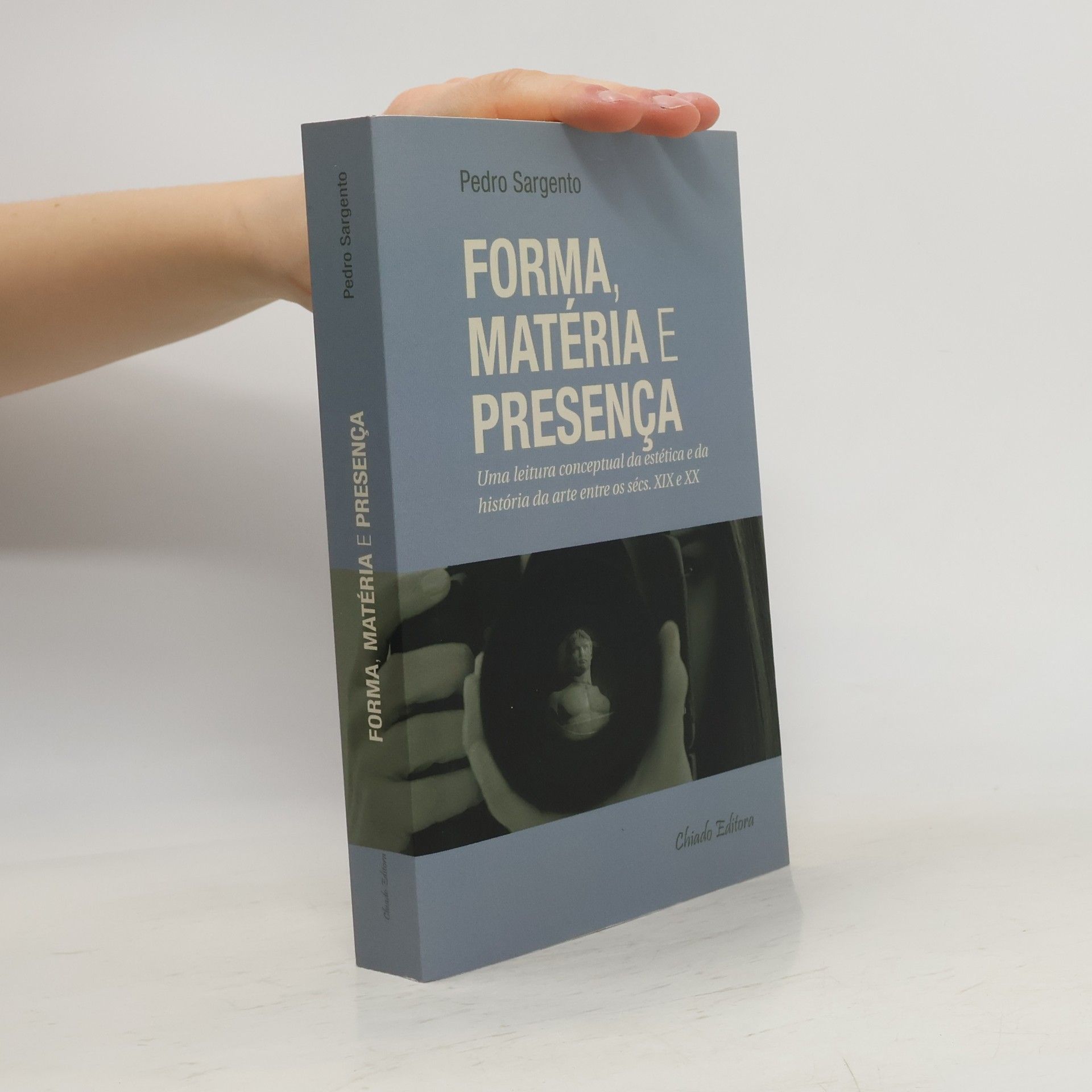 Pedro Sargento Forma, matéria e presença