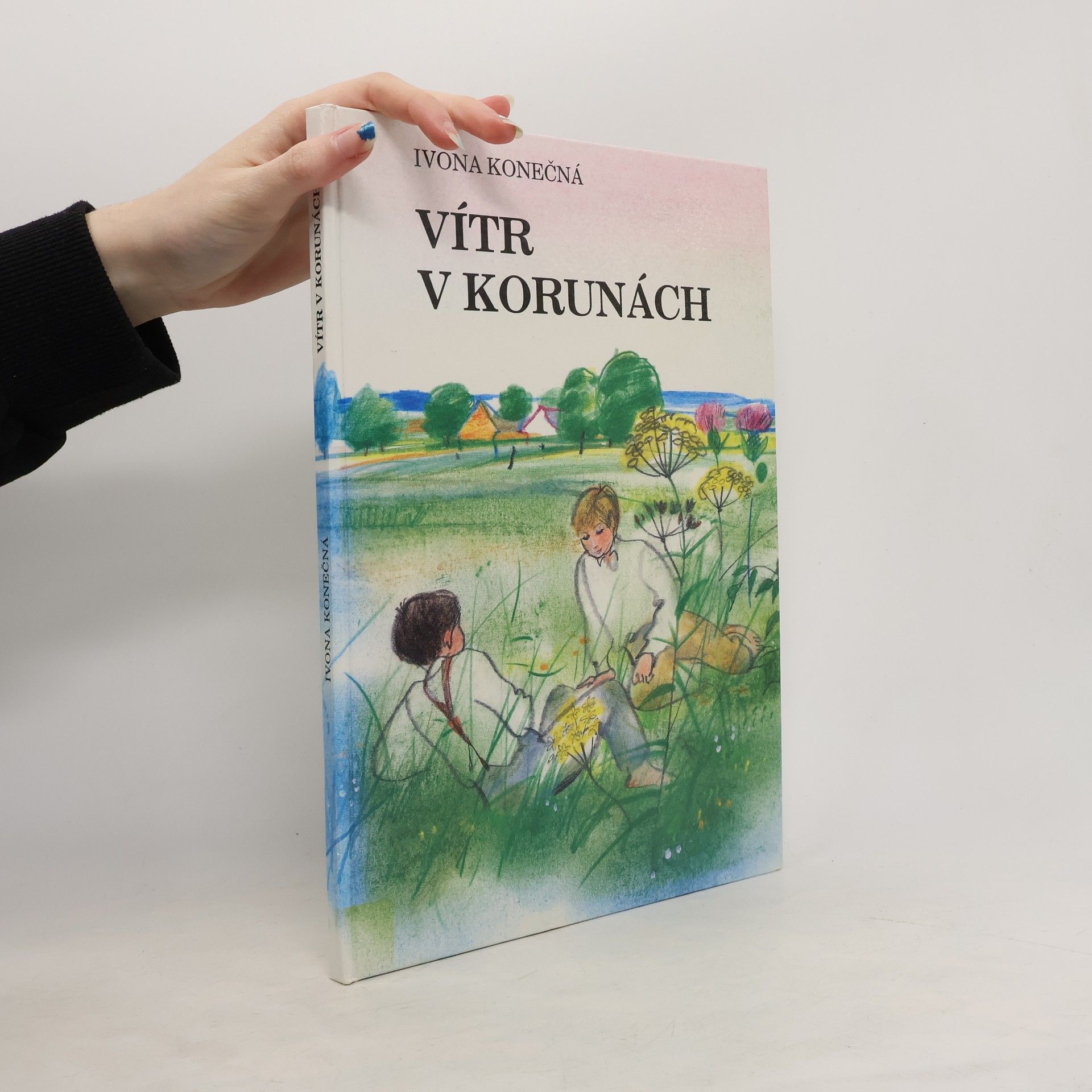 Ivona Konečná Vítr v korunách