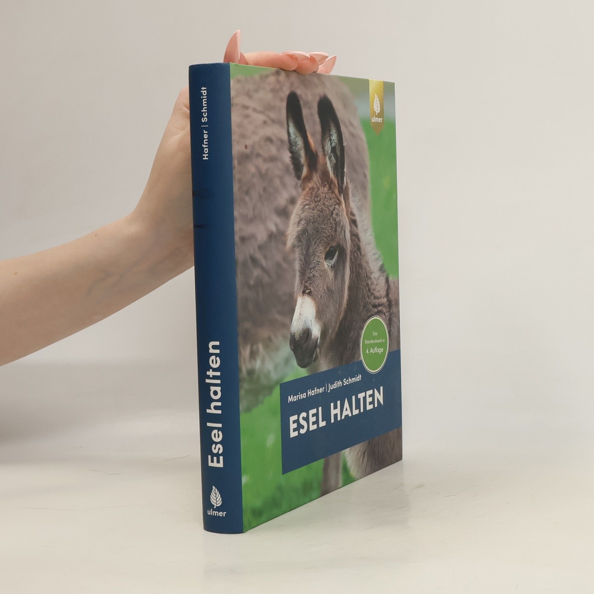 Marisa Hafner Esel halten