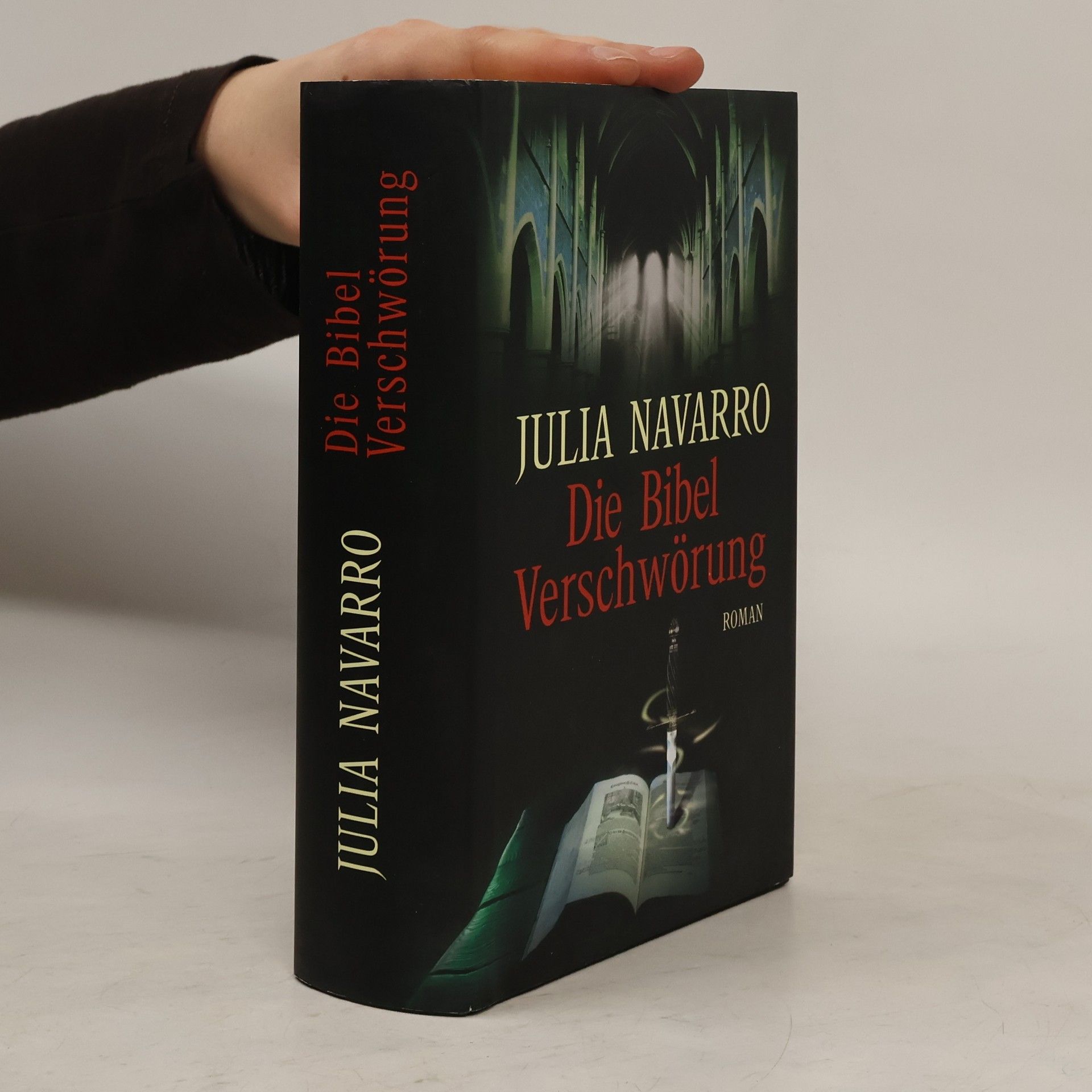 Julia Navarro Die Bibel Verschwörung