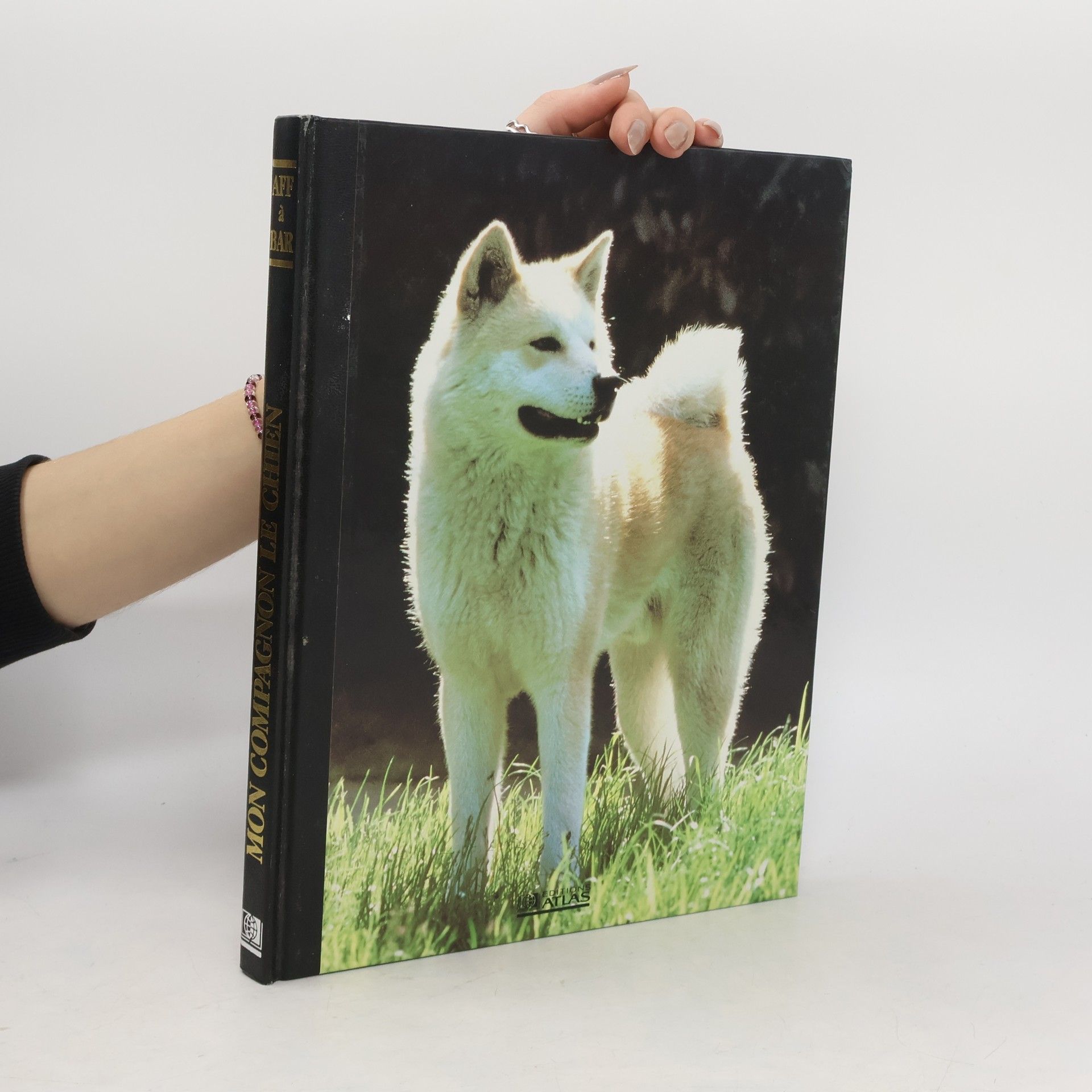 Collectif Mon compagnon le chien