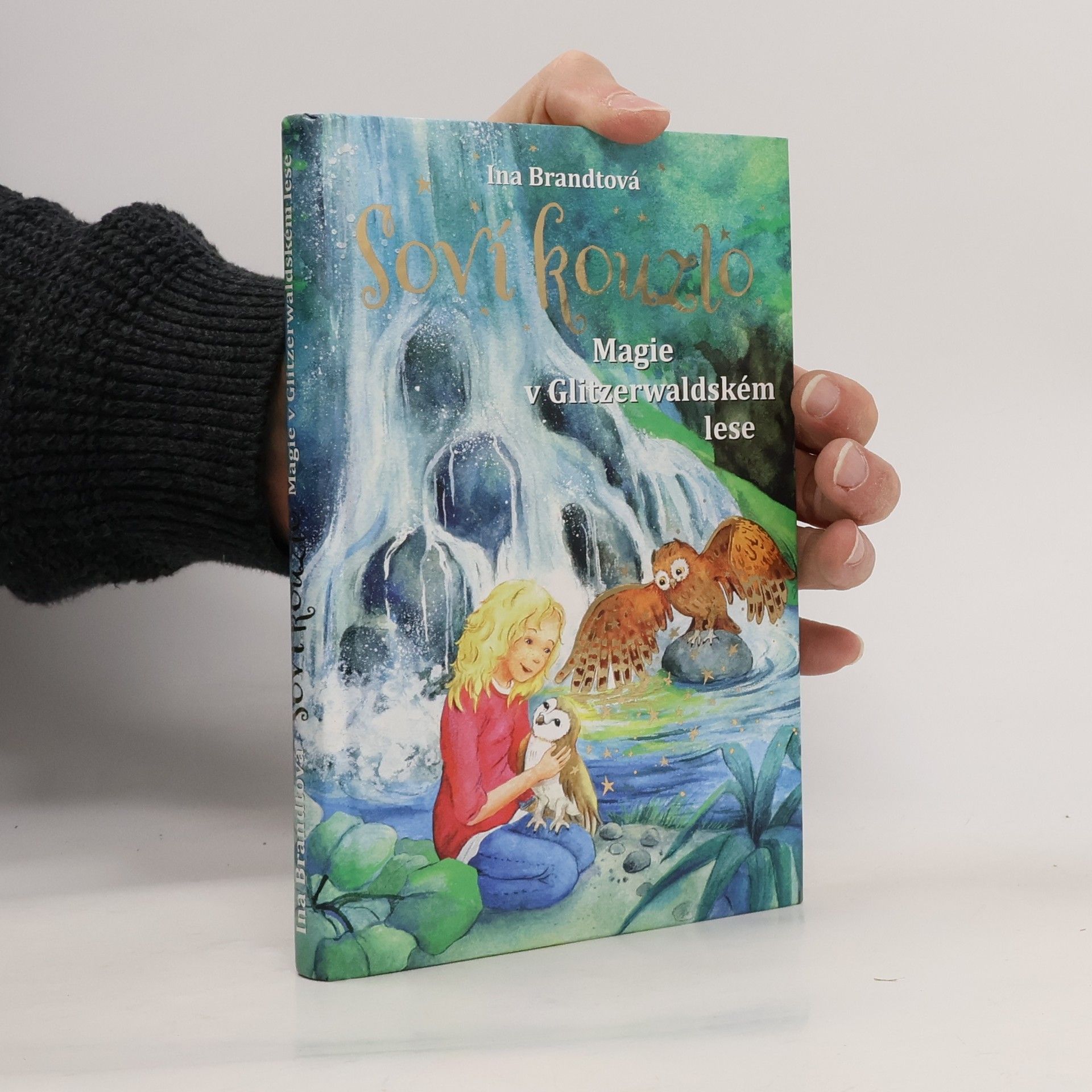 Ina Brandt Soví kouzlo. Magie v Glitzerwaldském lese