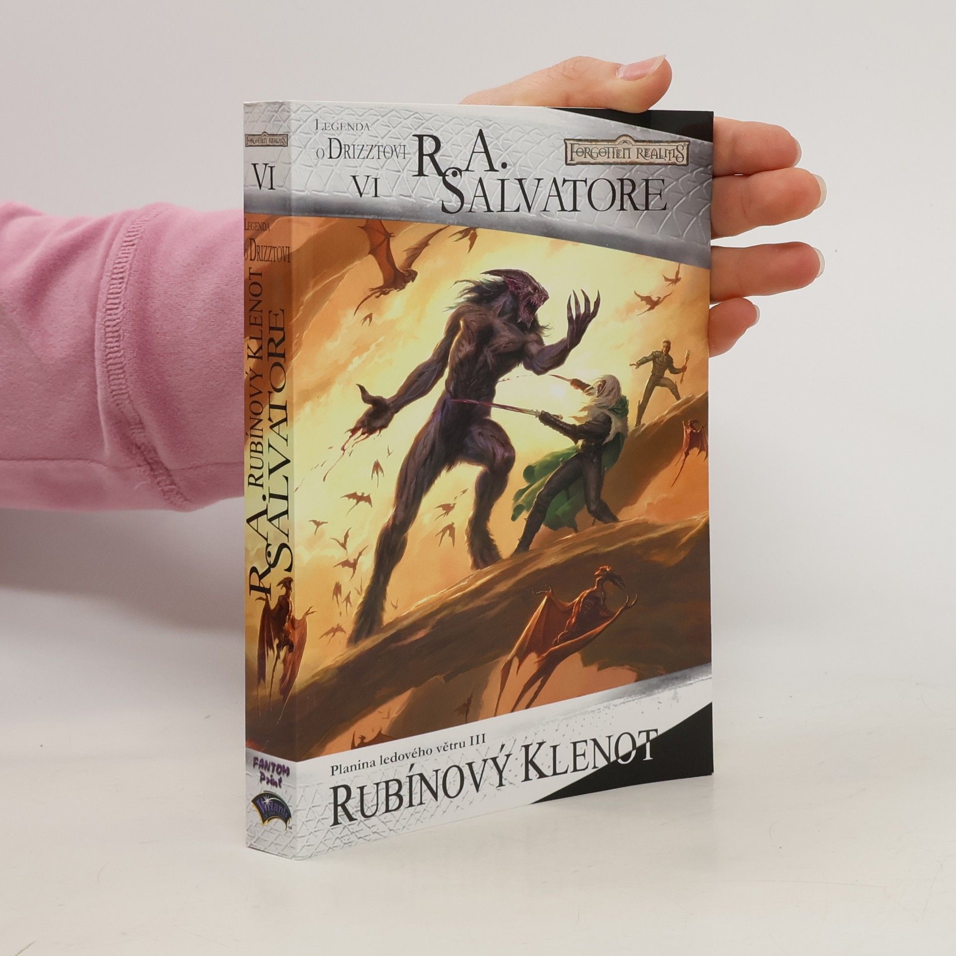 R. A. Salvatore Planina ledového větru. III, Rubínový klenot