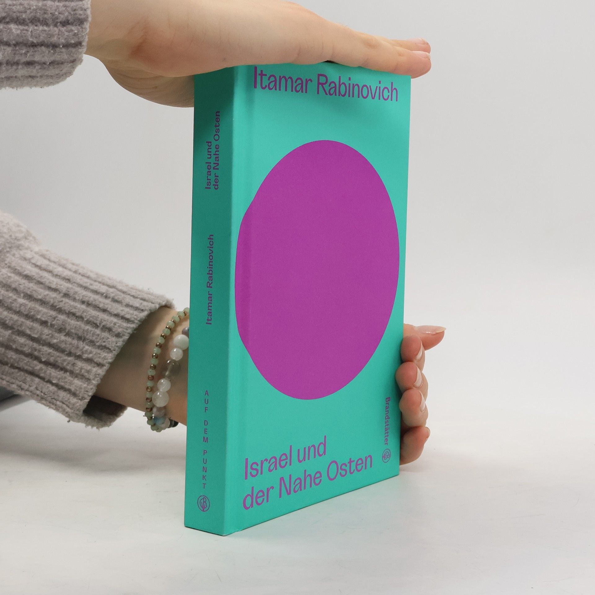 Itamar Rabinovich Auf dem Punkt: Israel und der Nahe Osten