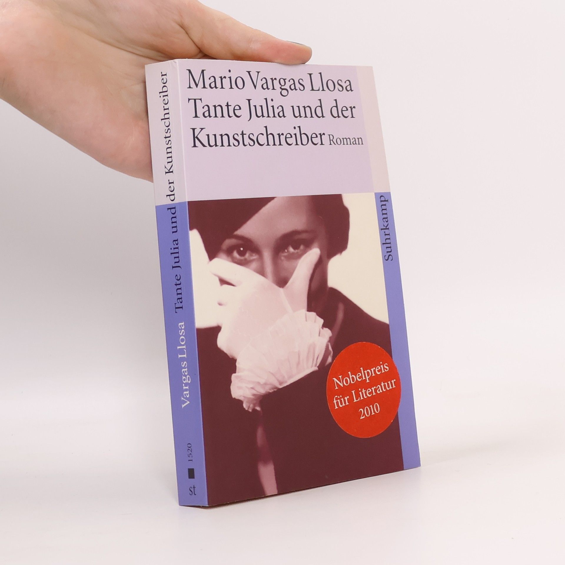 Mario Vargas Llosa Tante Julia und der Kunstschreiber