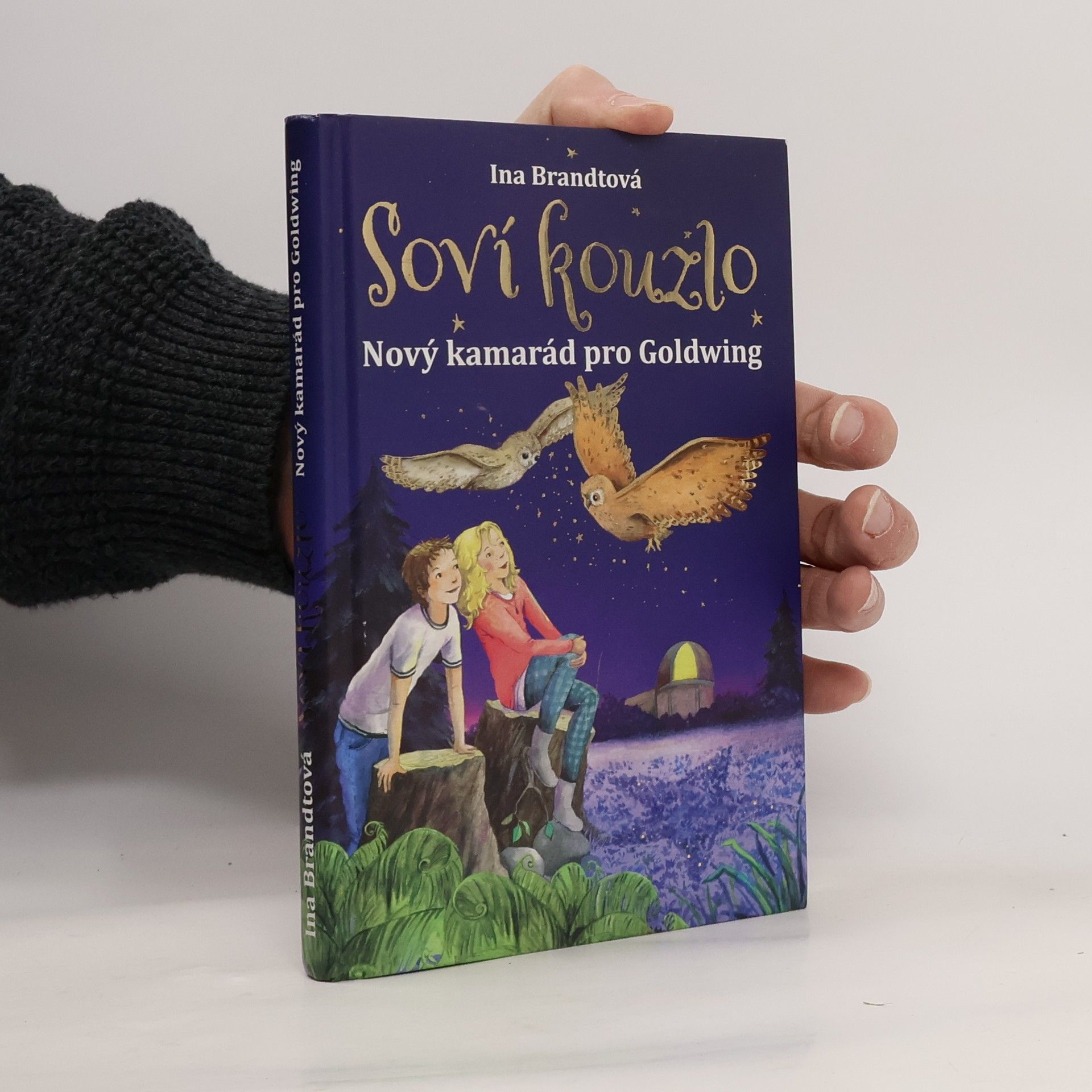 Ina Brandt Soví kouzlo. Nový kamarád pro Goldwing