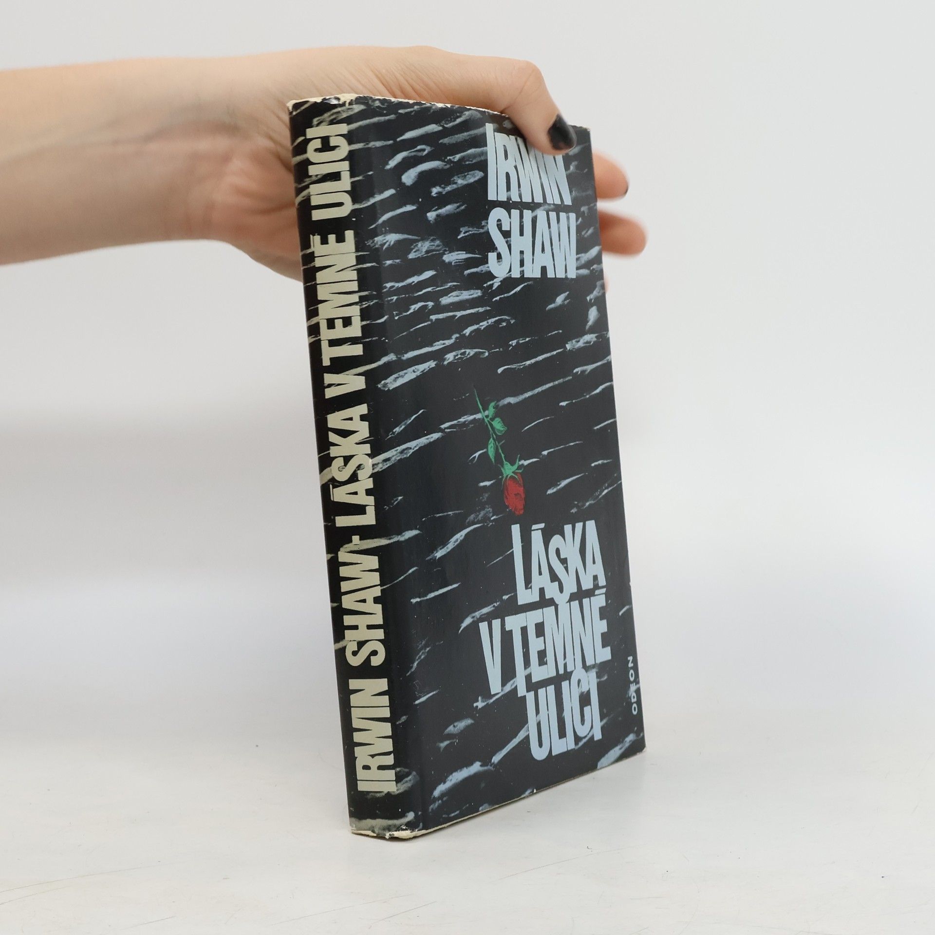 Irwin Shaw Láska v temné ulici