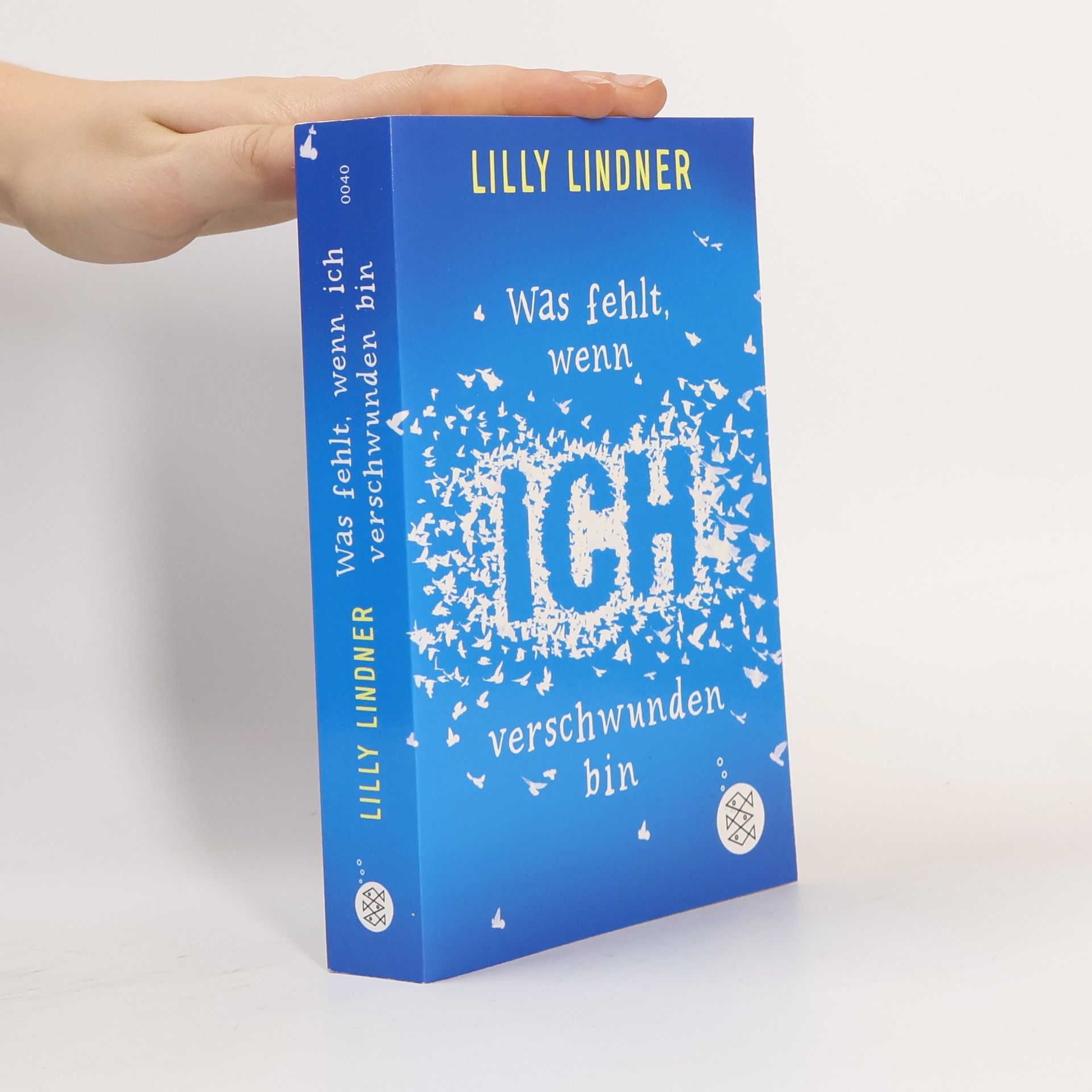 Lilly Lindner Was fehlt, wenn ich verschwunden bin