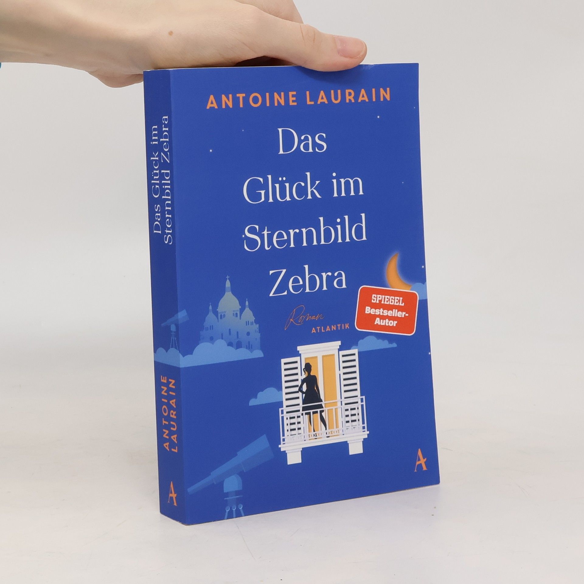 Antoine Laurain Das Glück im Sternbild Zebra