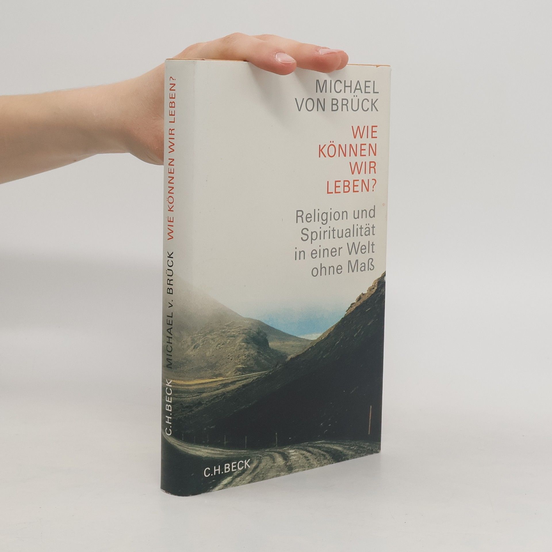 Michael von Brück Wie können wir leben?