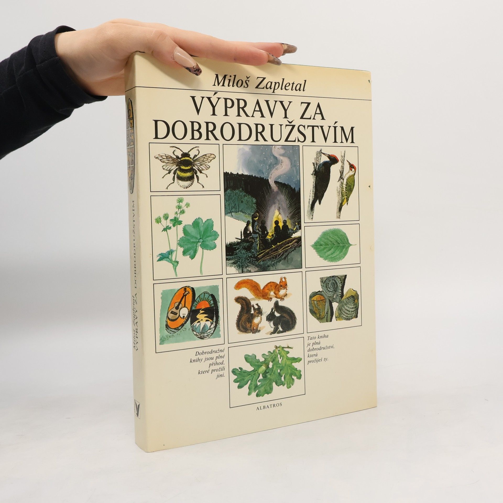 Výpravy za dobrodružstvím