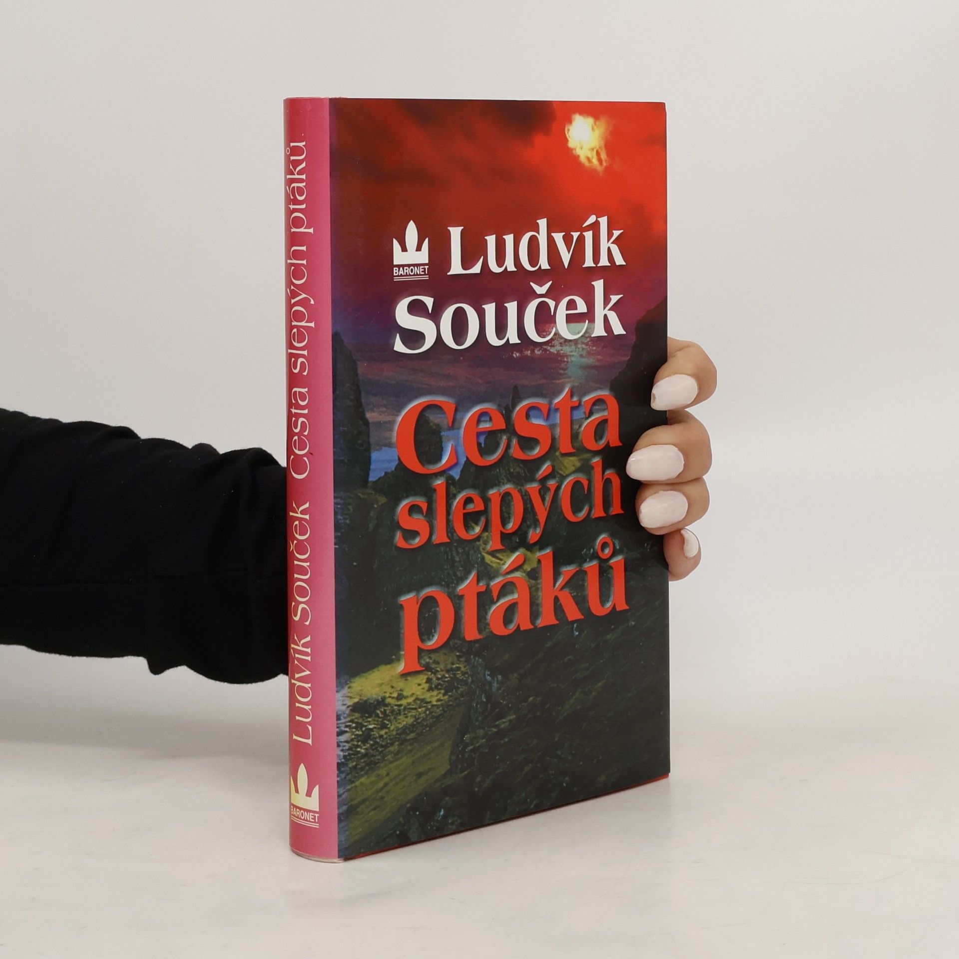 Cesta slepých ptáků