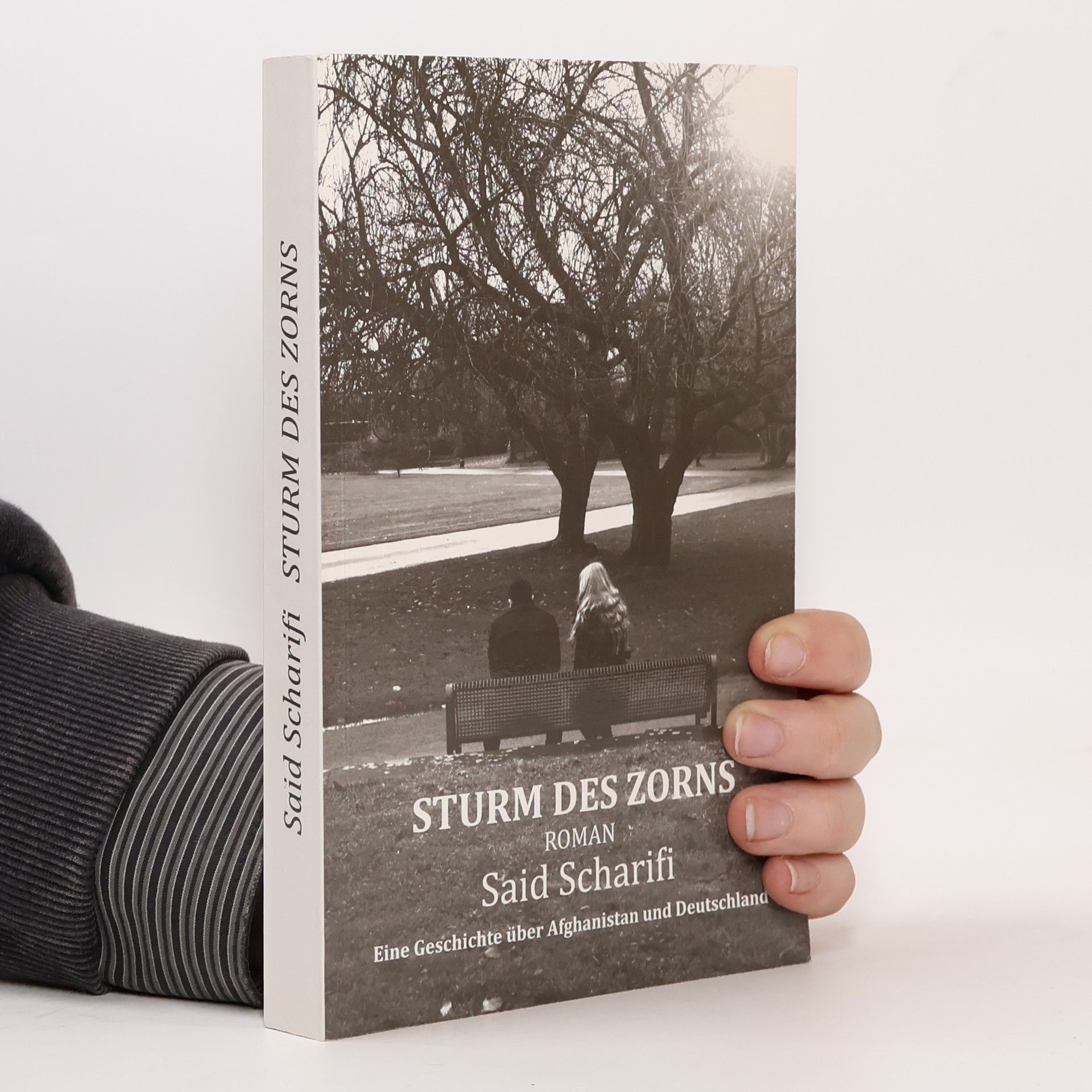 Said Scharifi Sturm des Zorns