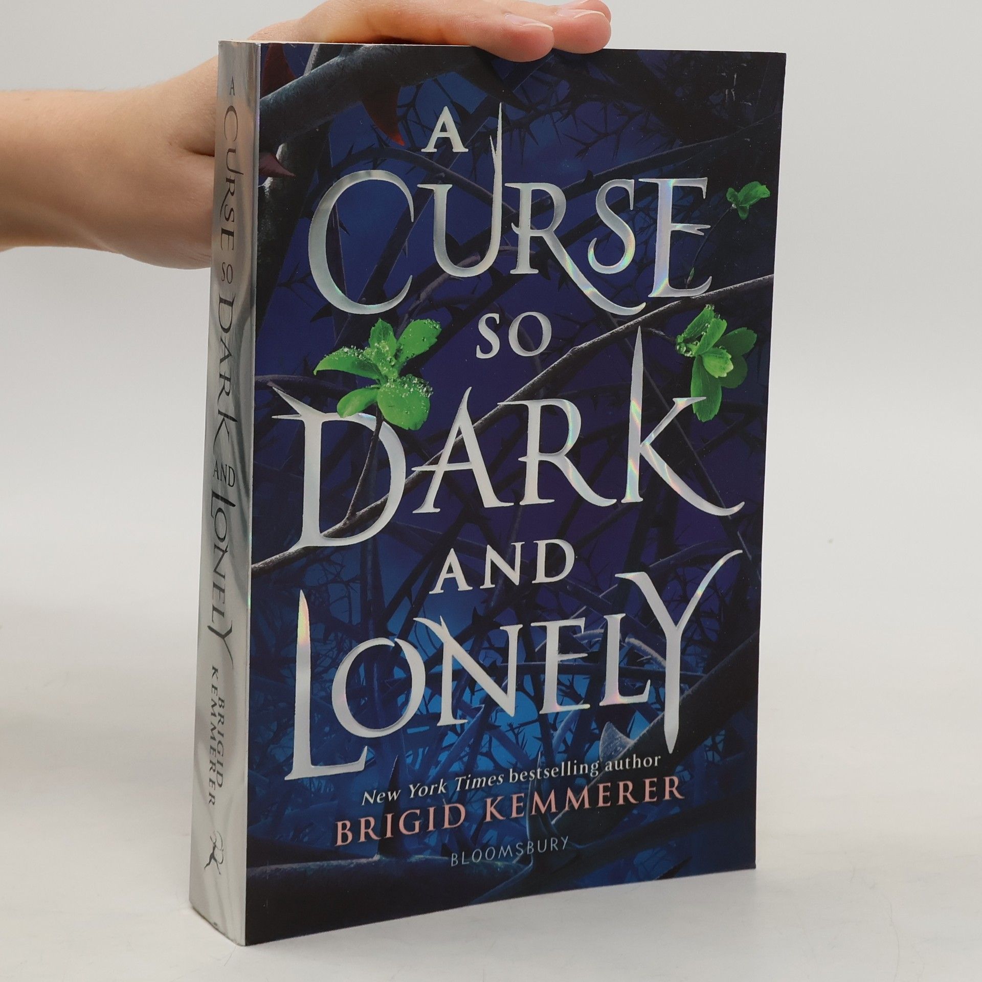 Brigid Kemmerer A curse so dark and lonely (1. díl série)