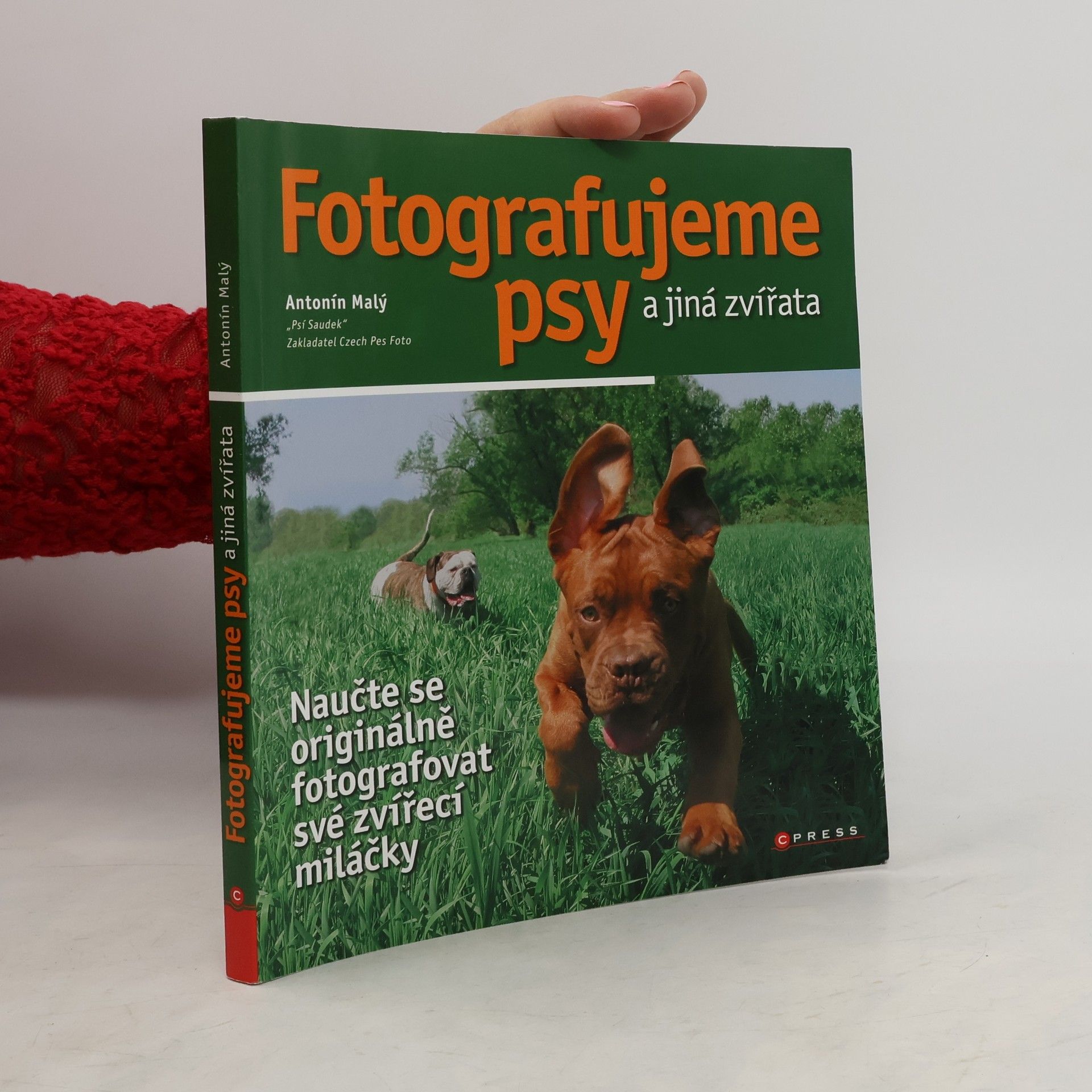 Fotografujeme psy a jiná zvířata