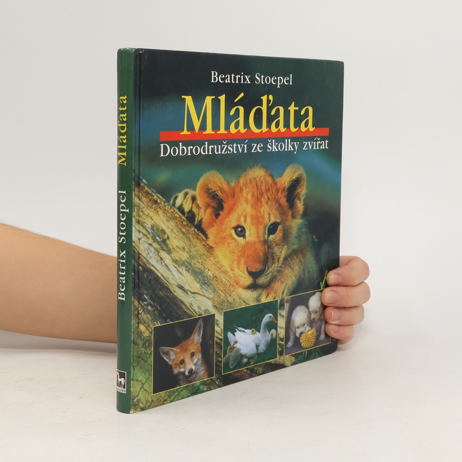 Beatrix Stoepel Mláďata. Dobrodružství ze školky zvířat