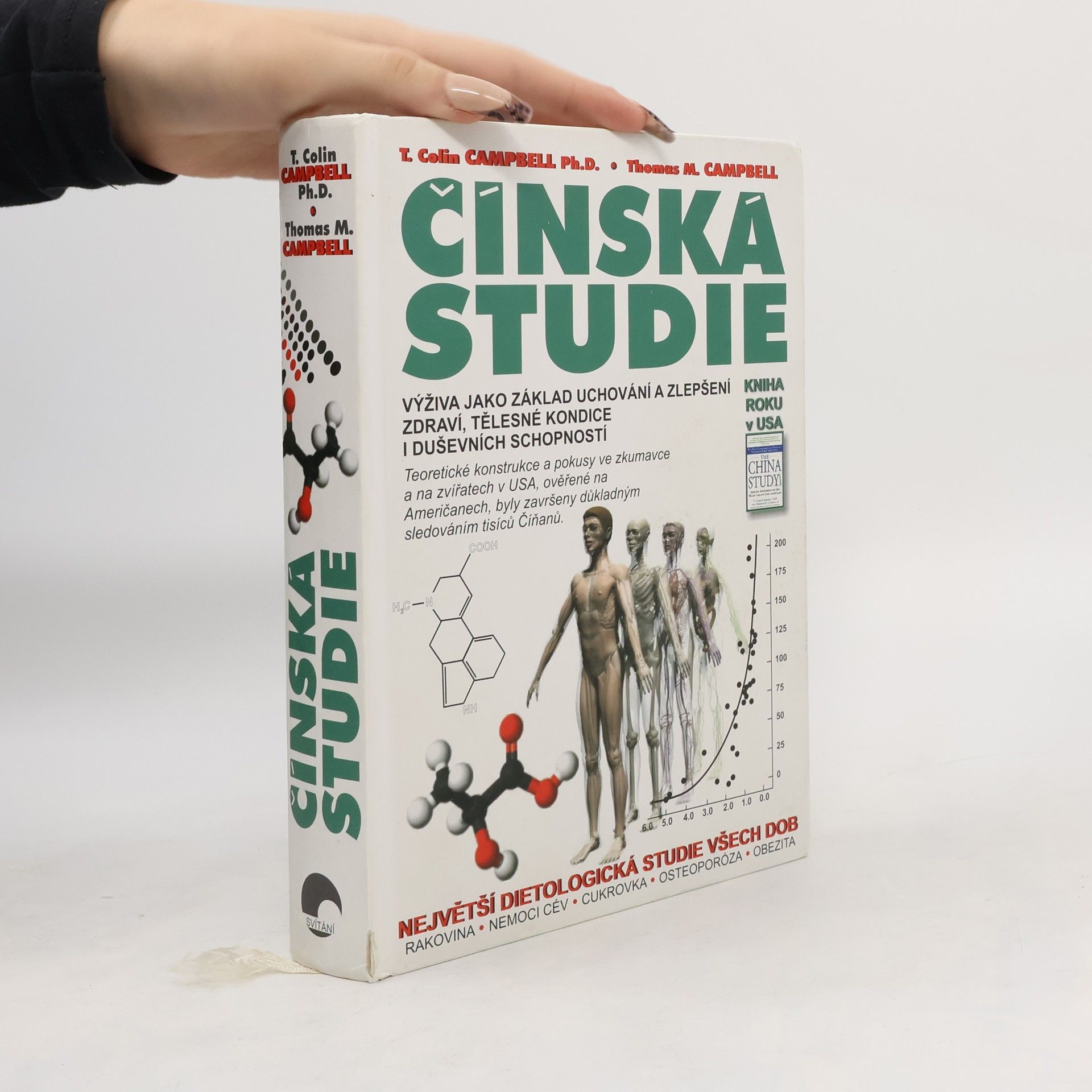 Čínská studie