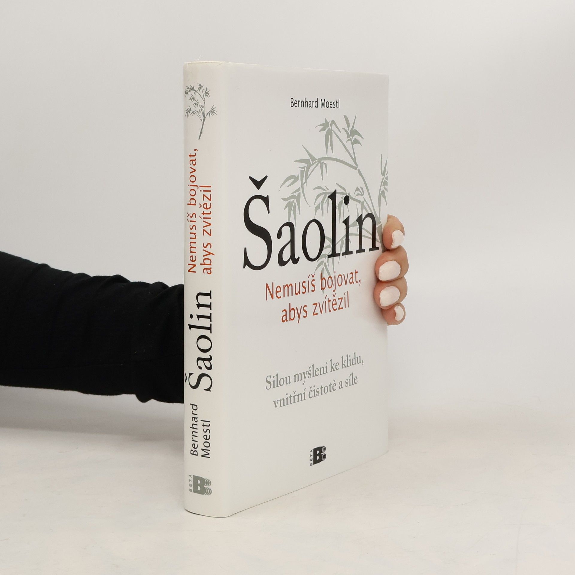 Bernhard Moestl Šaolin: Nemusíš bojovat, abys zvítězil