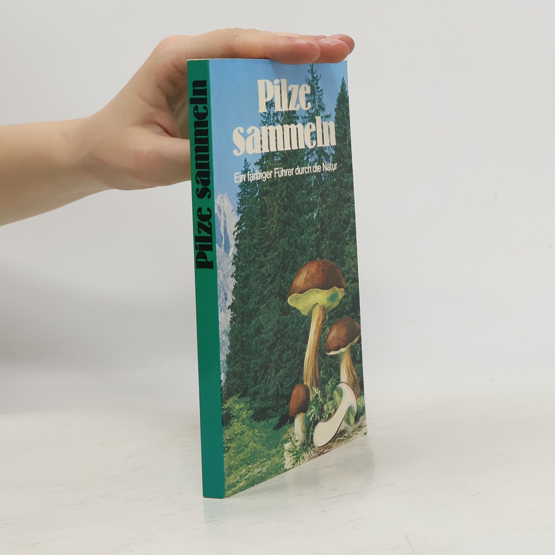 Autores varios Pilze sammeln. Ein farbiger Führer durch die Natur