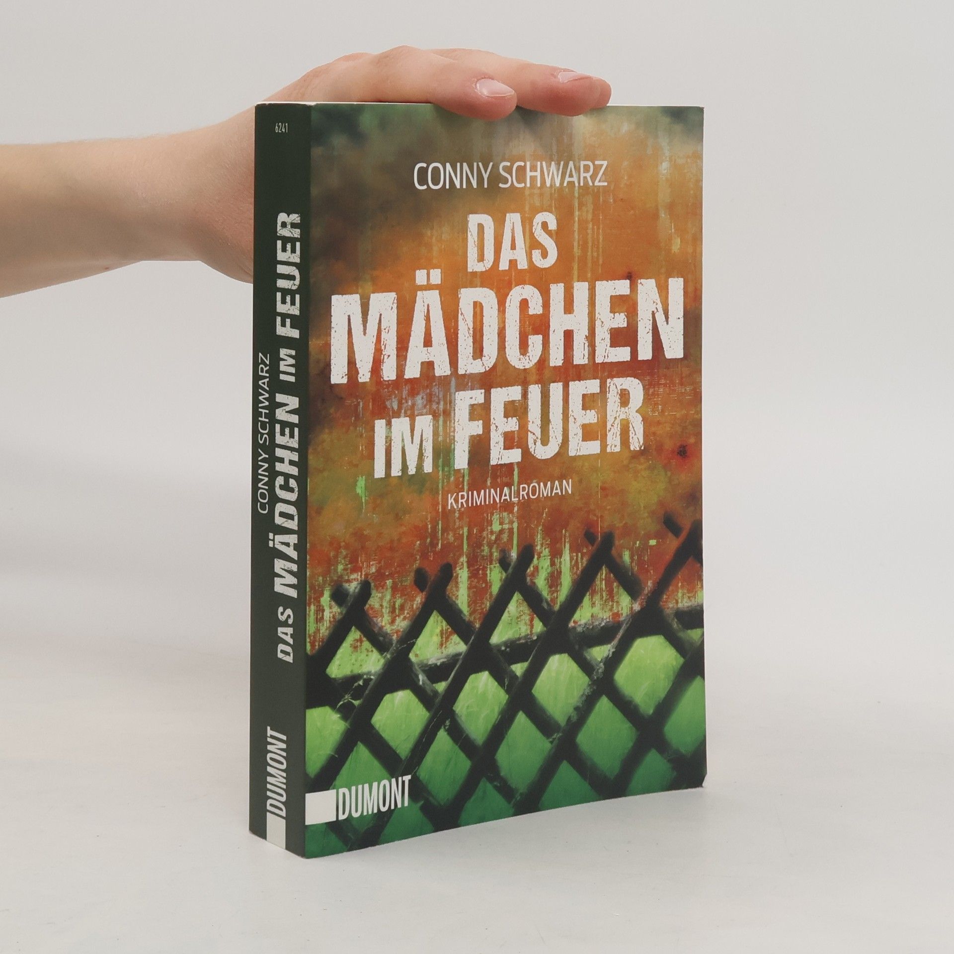 Conny Schwarz Das Mädchen im Feuer