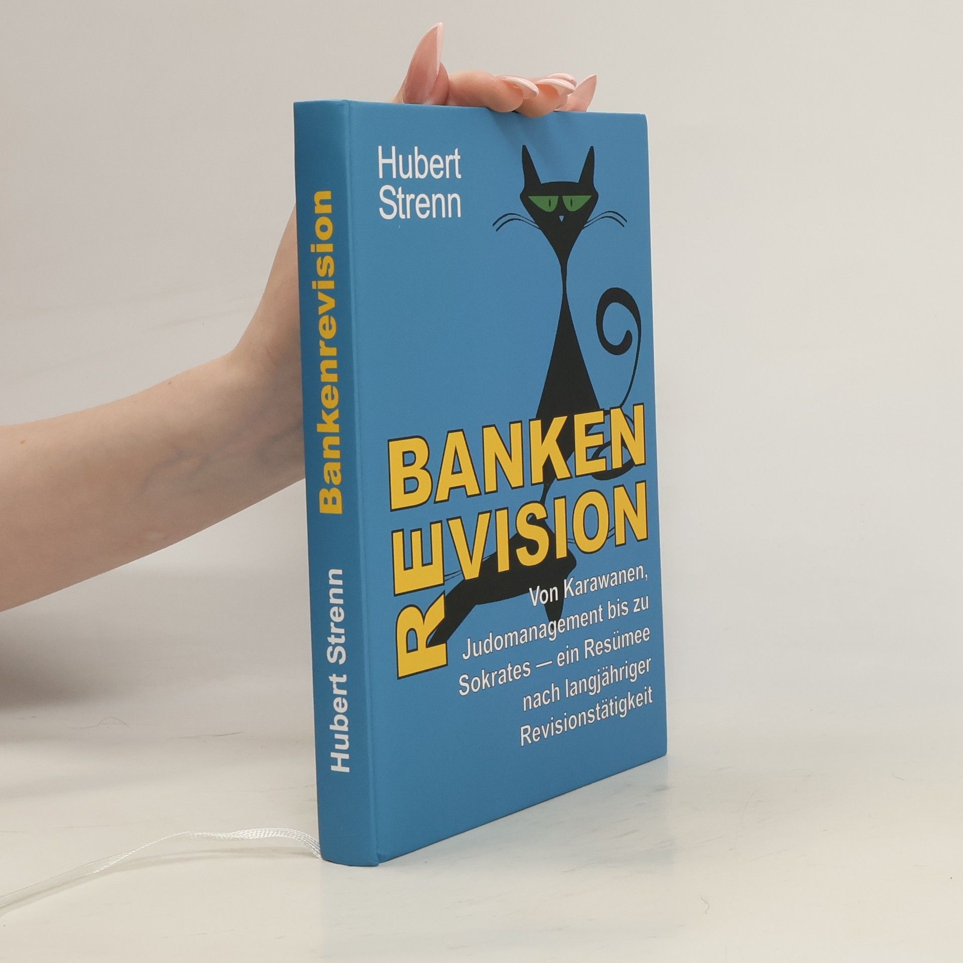 Hubert Strenn Banken-Revision