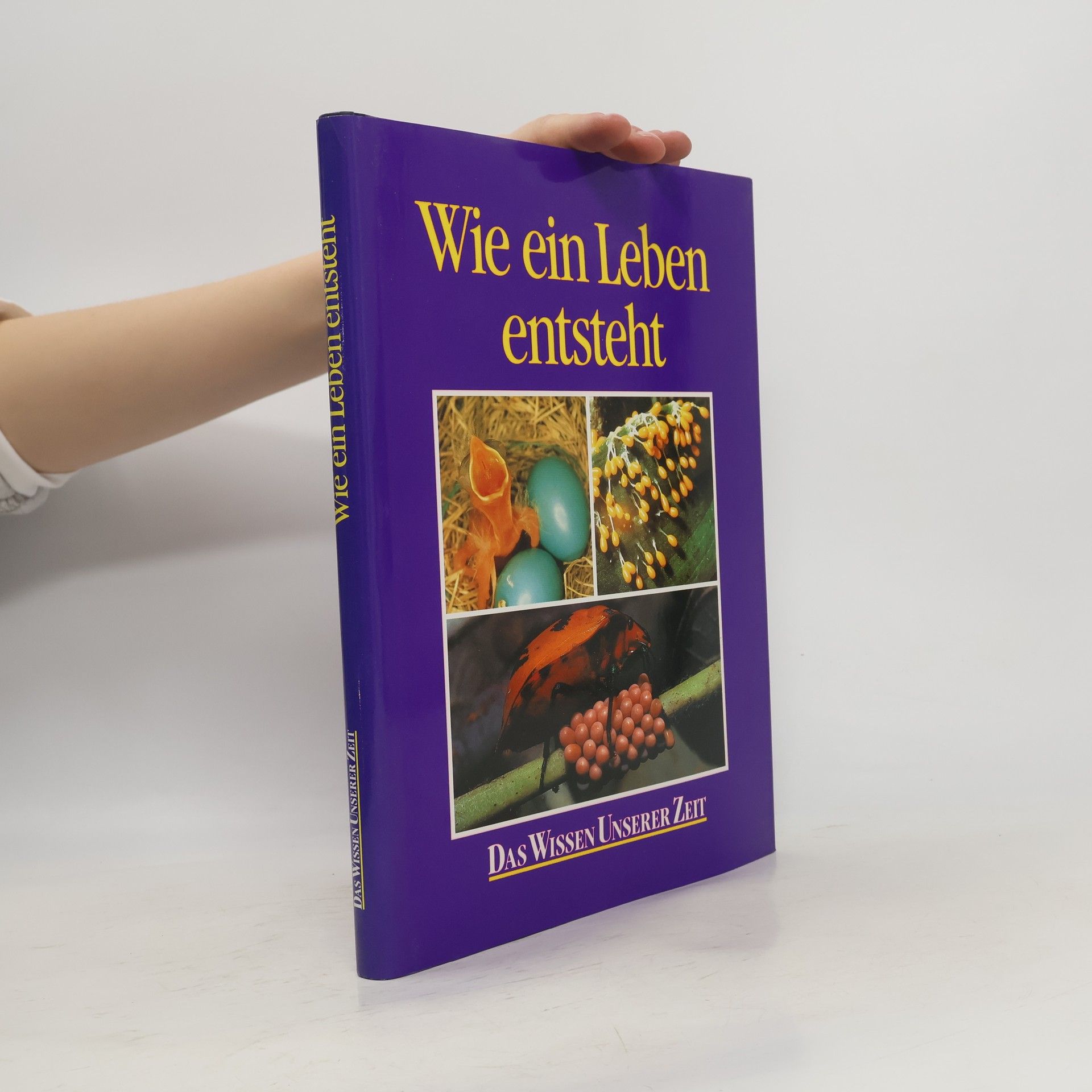 AA.VV. Wie ein Leben entsteht