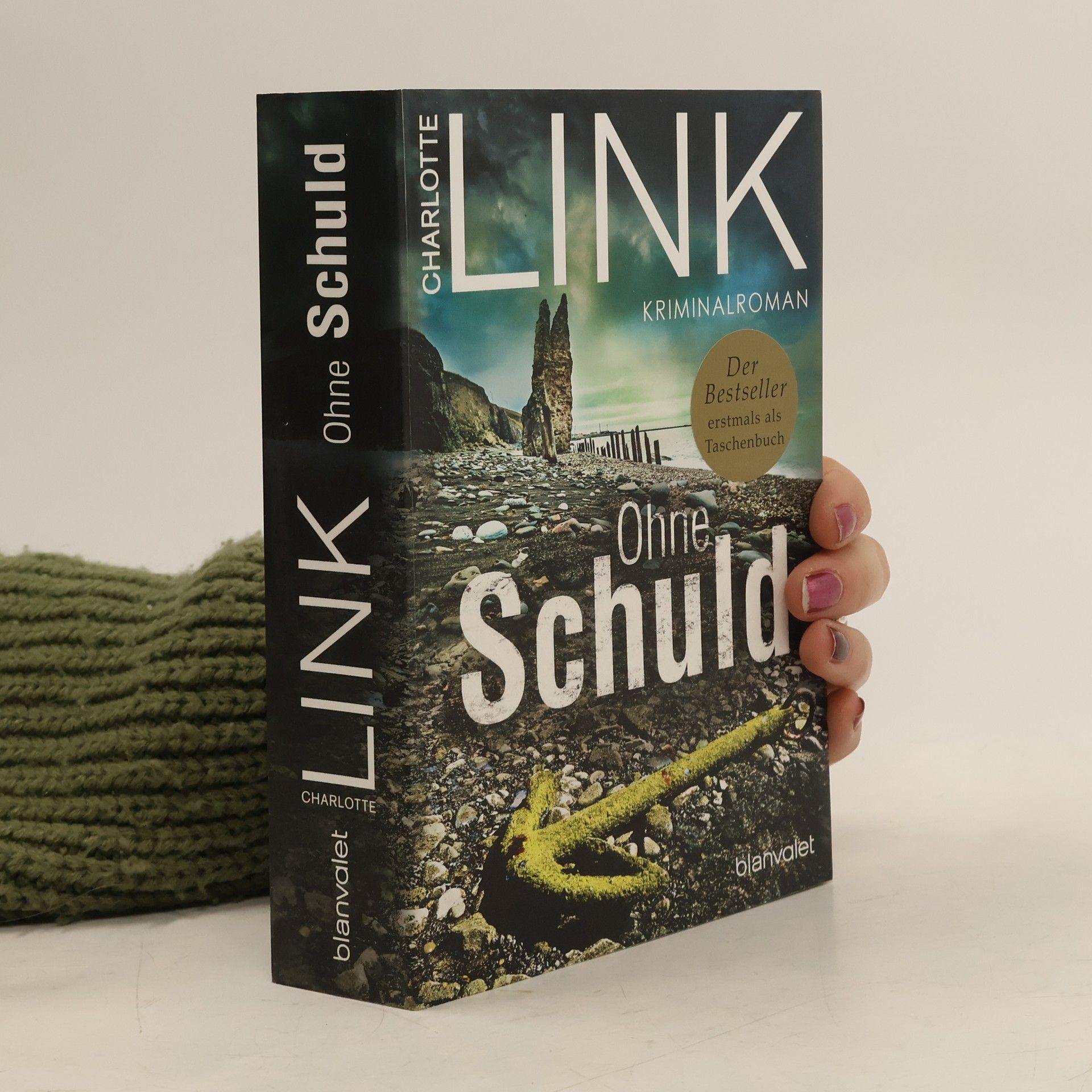 Charlotte Link Ohne Schuld