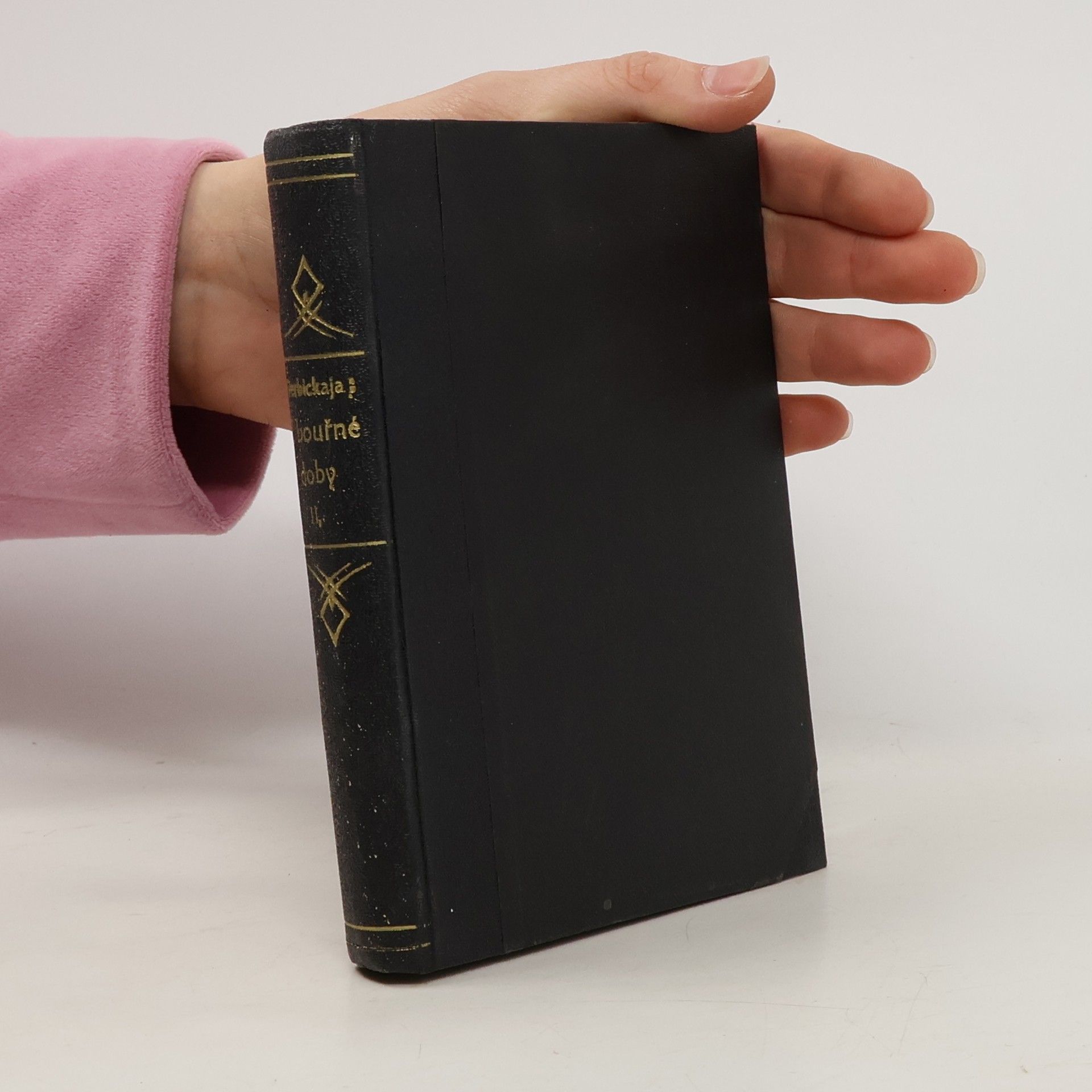 A. Verbickaja Z bouřné doby