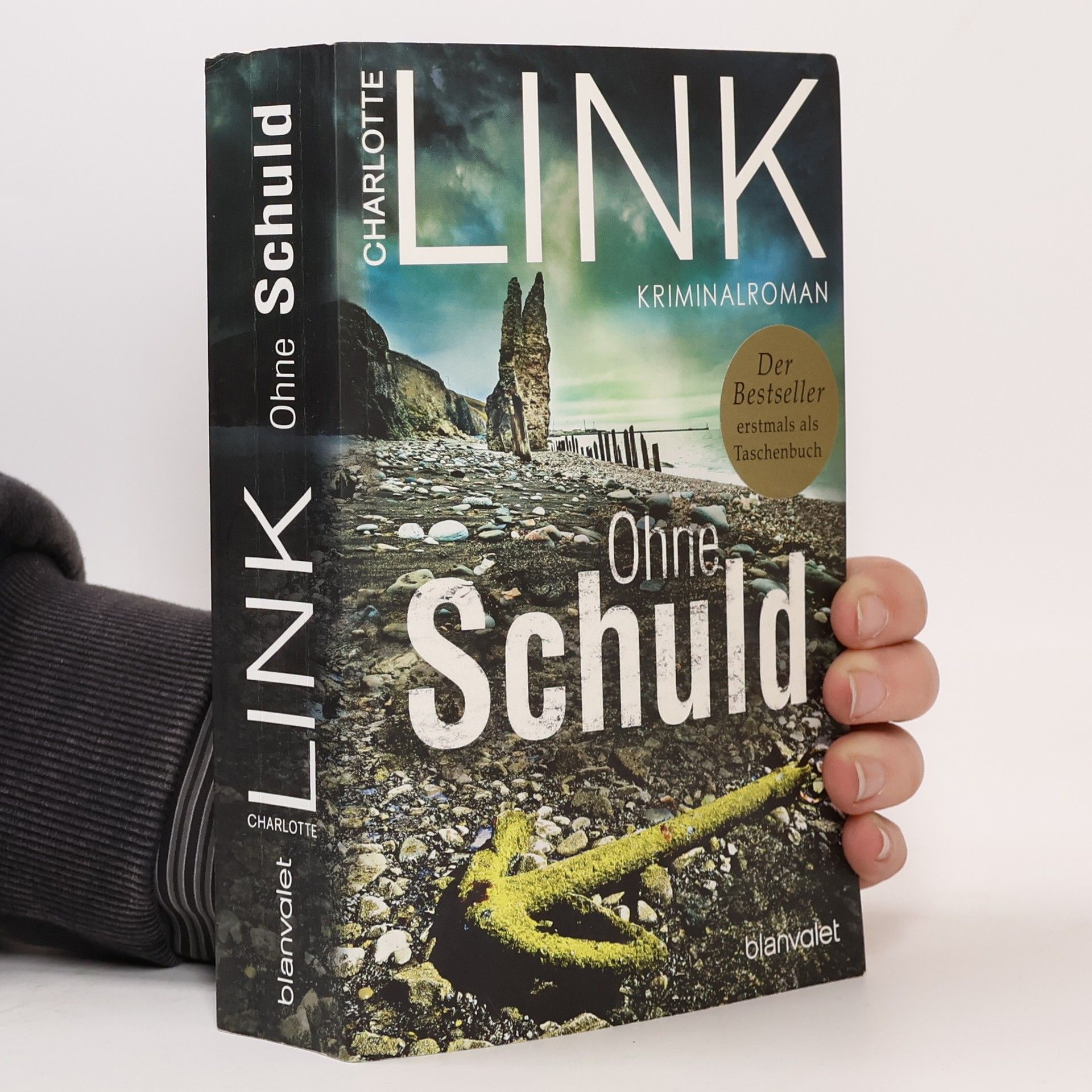 Charlotte Link Ohne Schuld