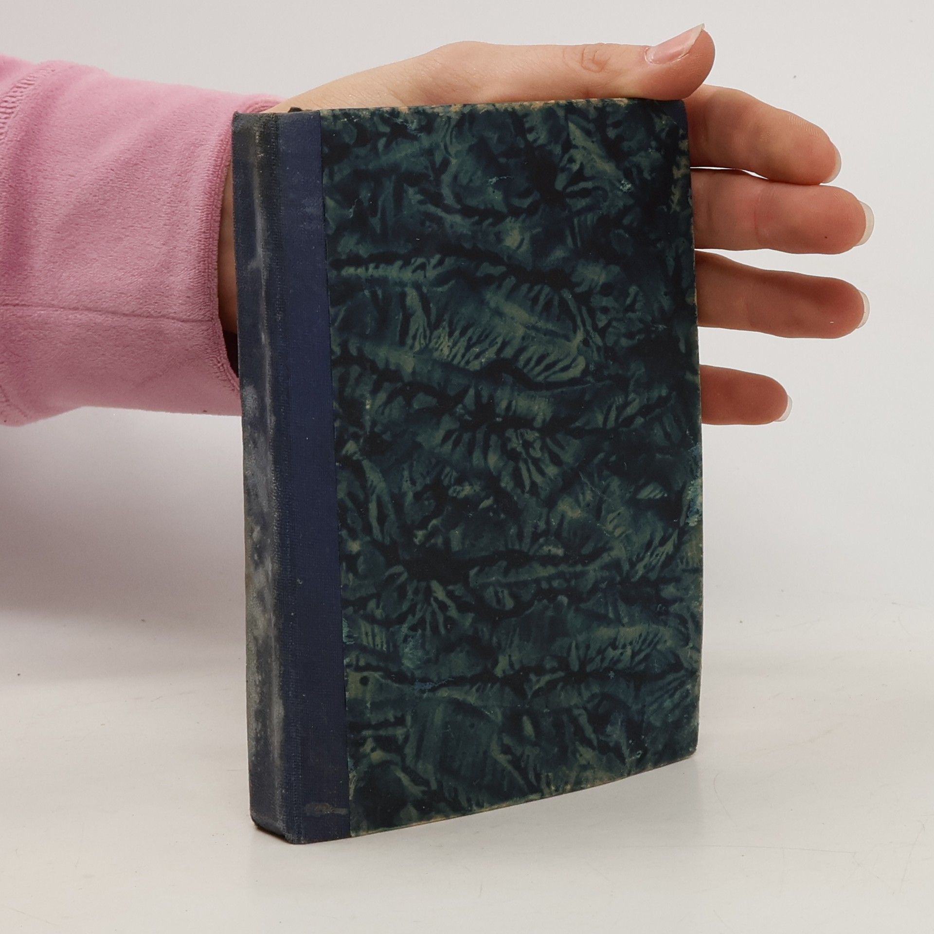 Posvátný chrobák profesora Blisse