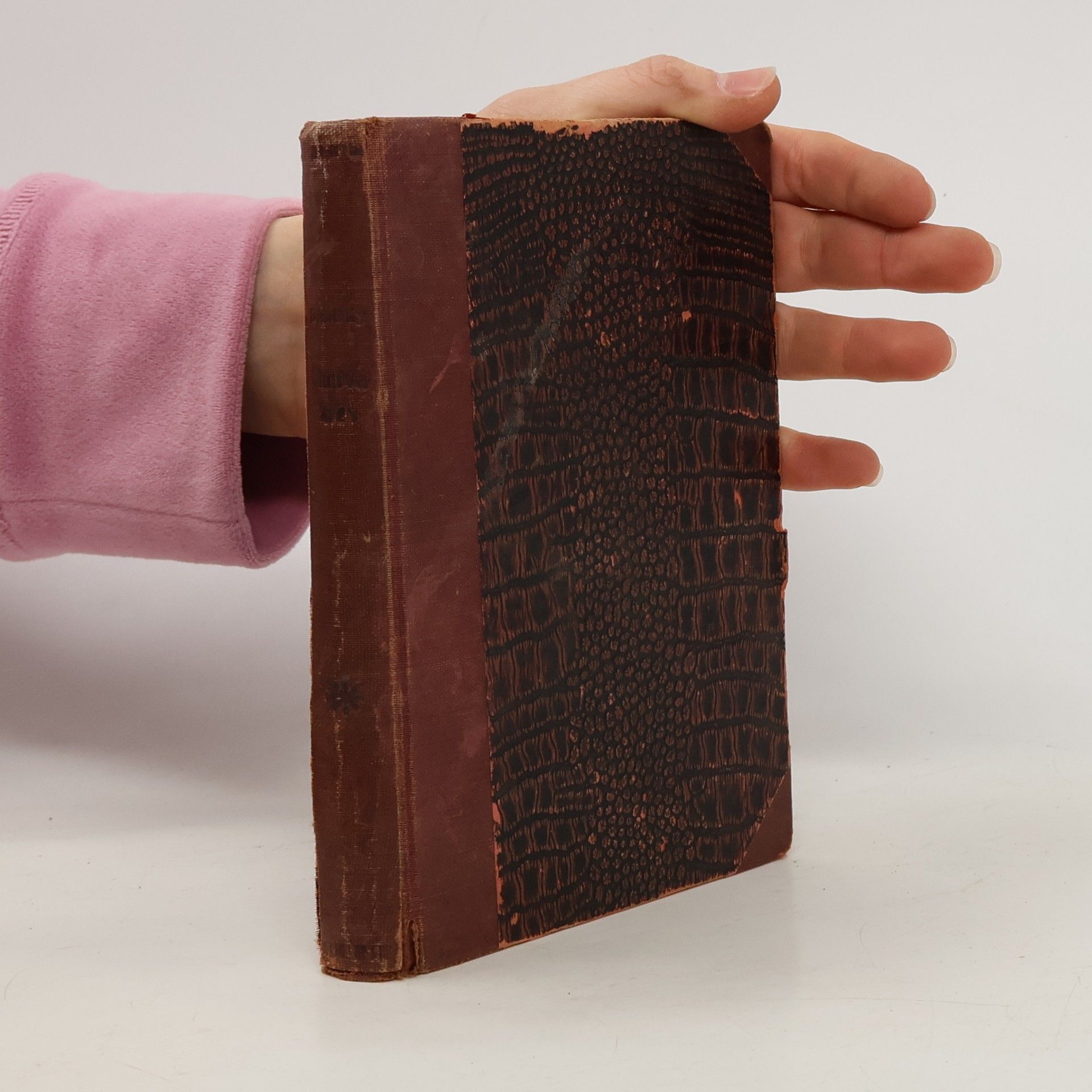 Bohumil Zahradník Brodský Ohnivá krev