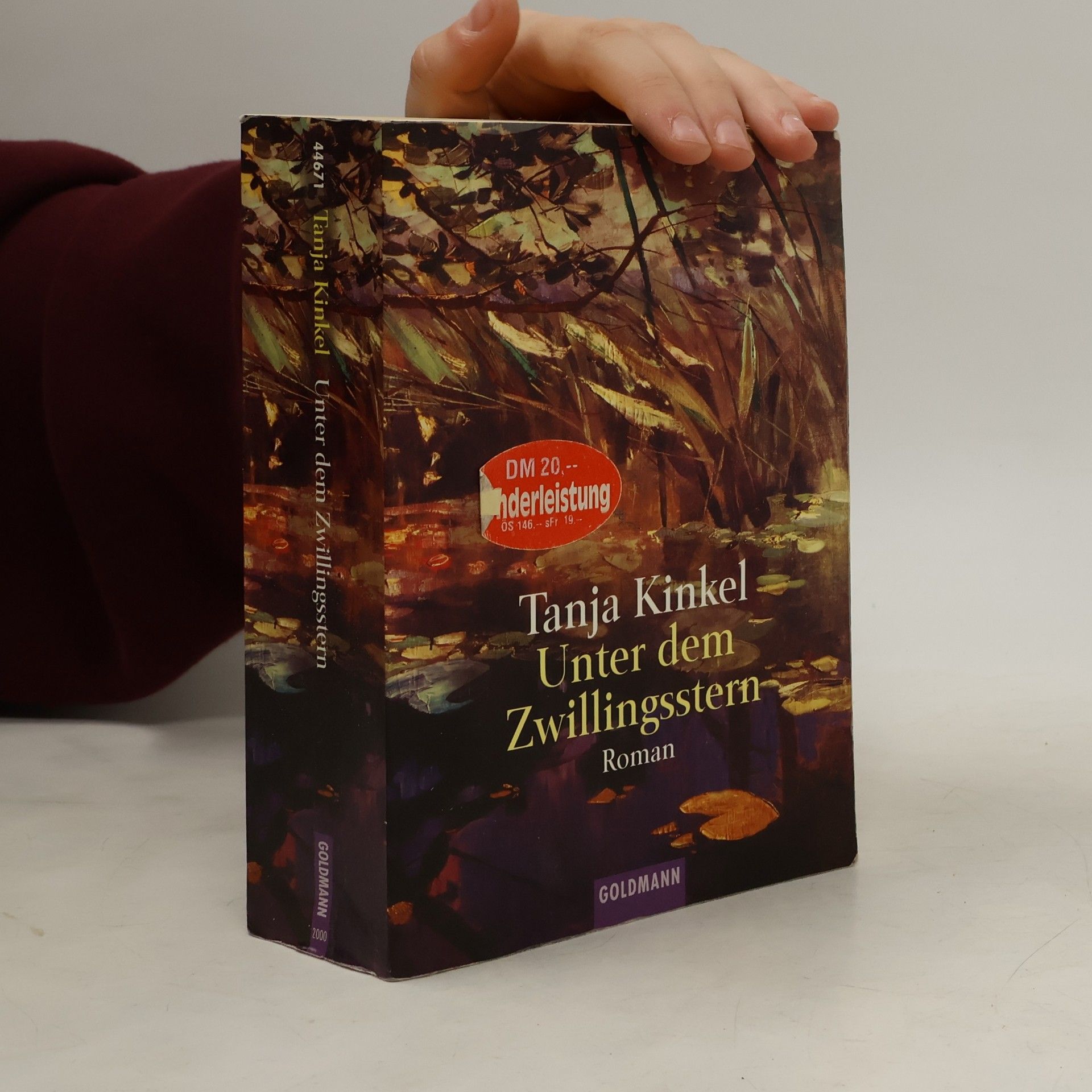 Unter dem Zwillingsstern