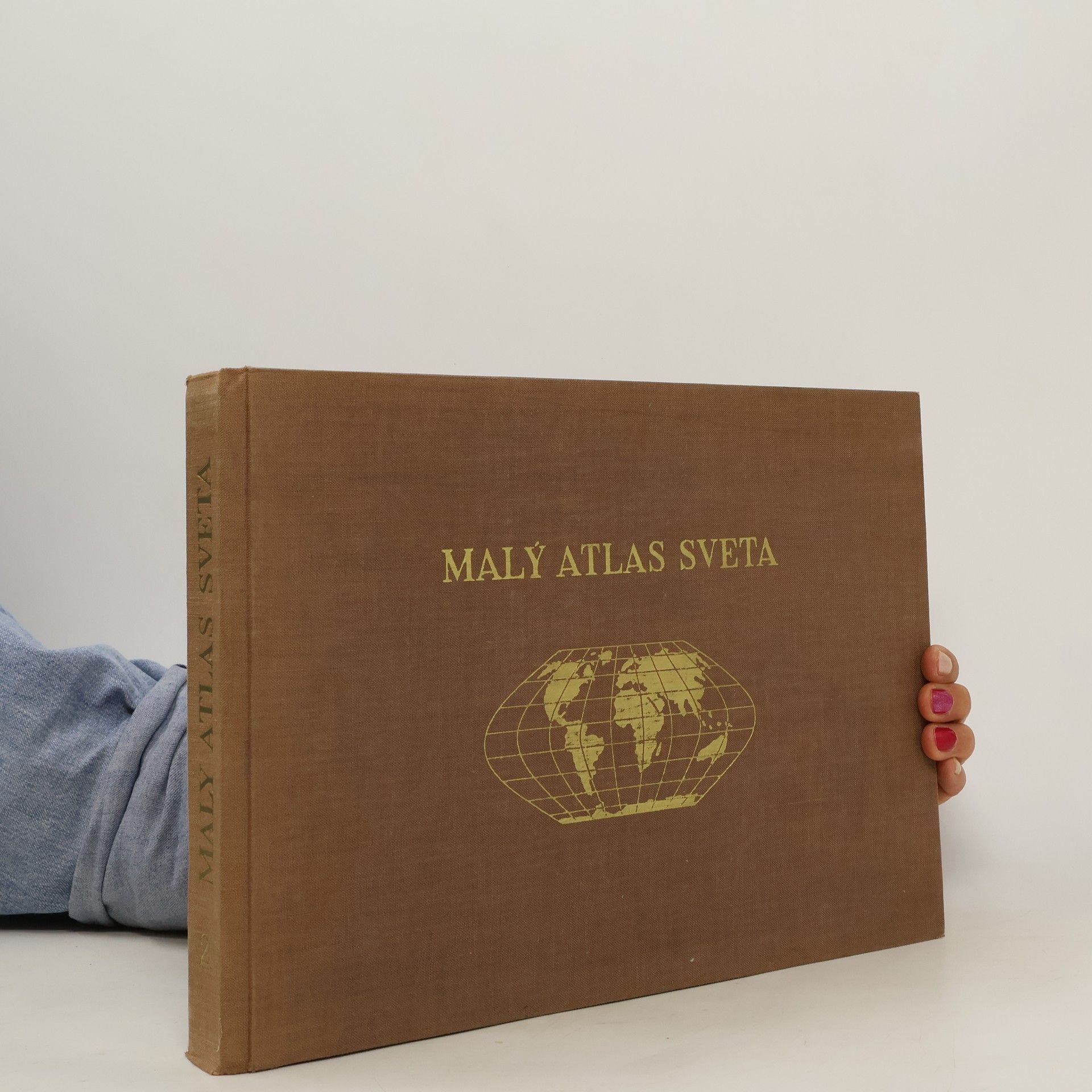 Kolektív autorov Malý atlas sveta