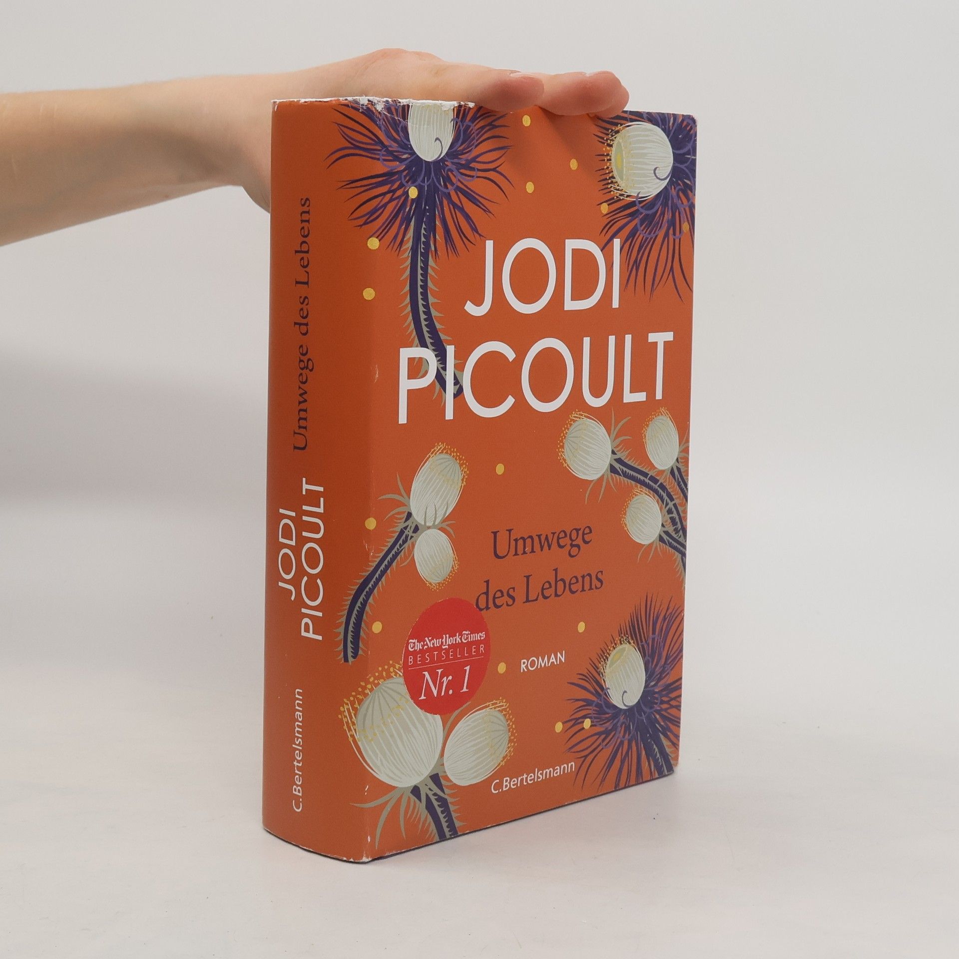 Jodi Picoult Umwege des Lebens