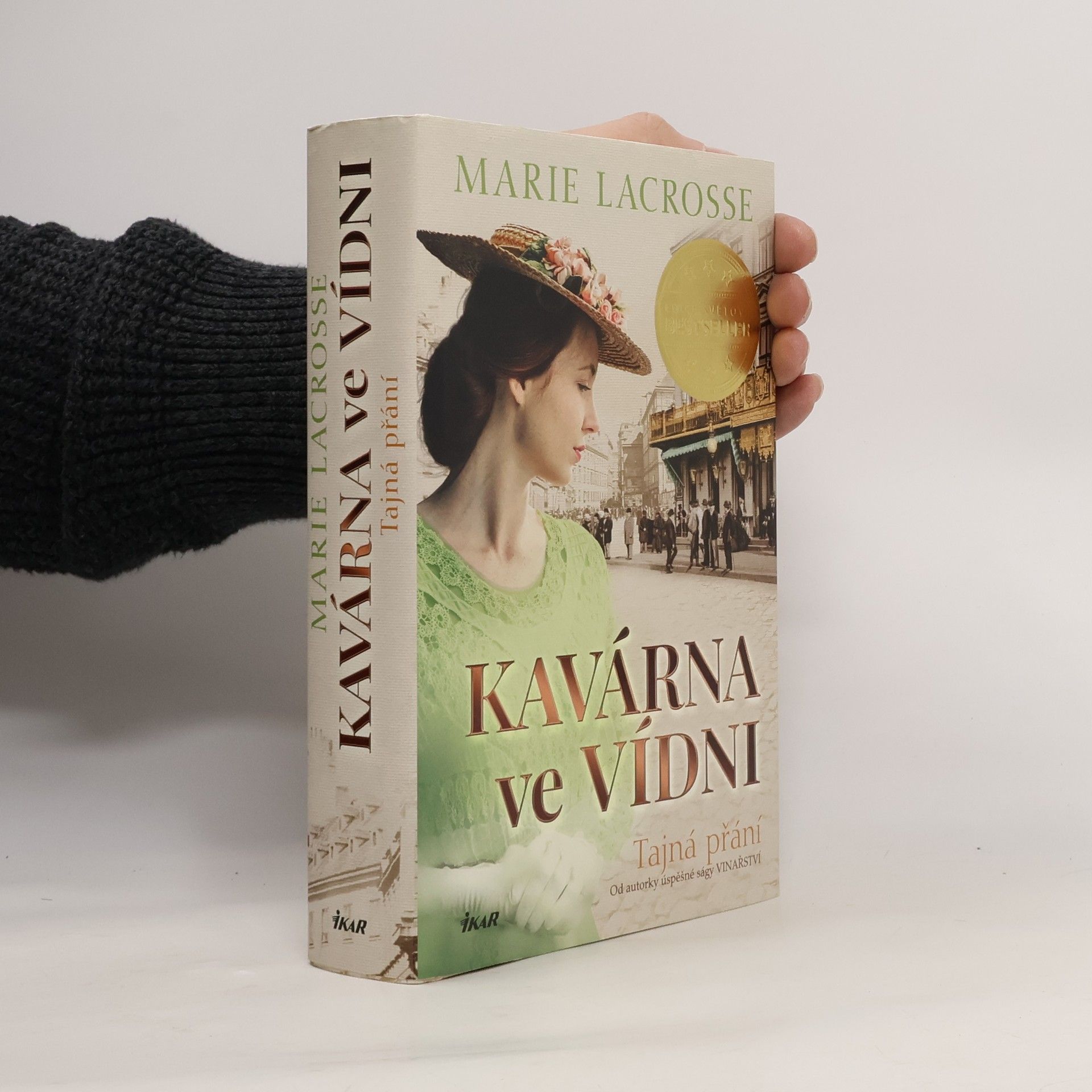 Rudolf Řežábek Kavárna ve Vídni. Tajná přání