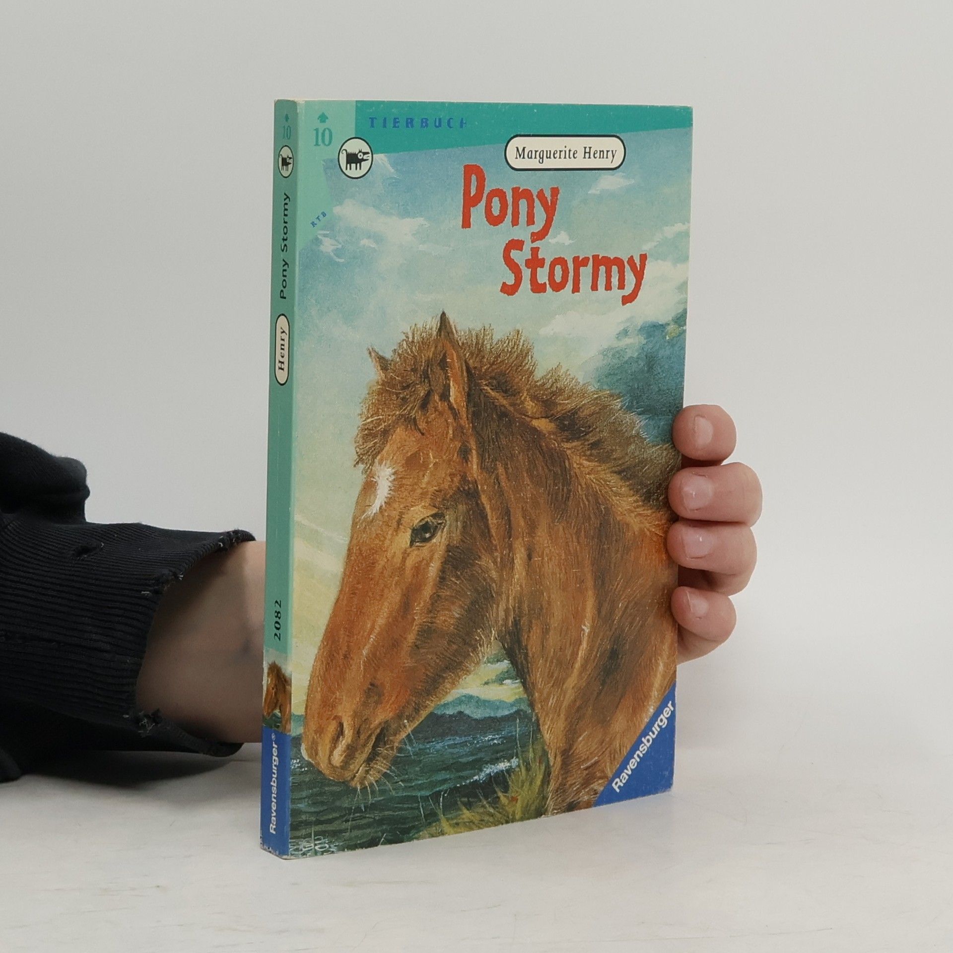 Marguerite Henry Pony Stormy
