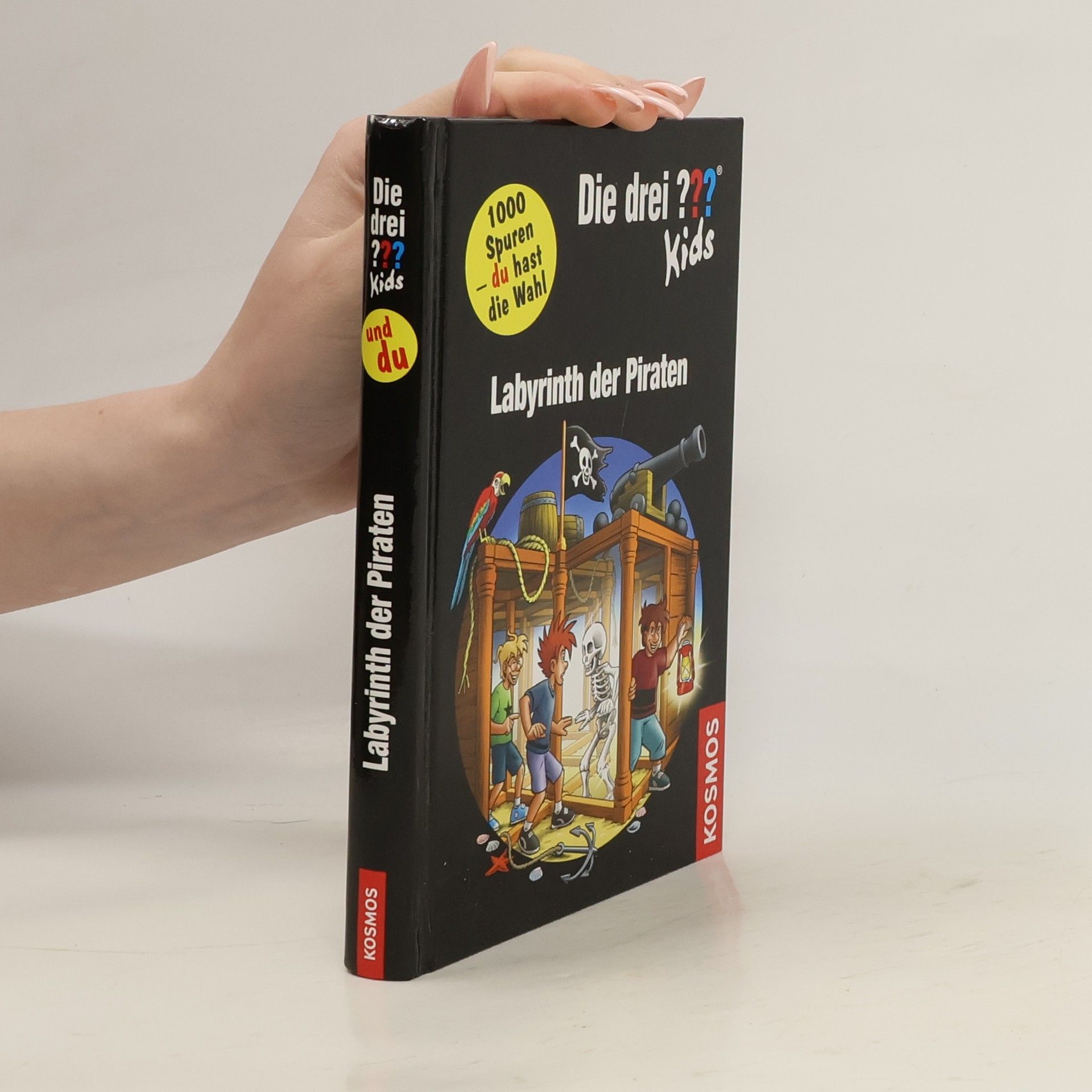 Ulf Blanck Labyrinth der Piraten