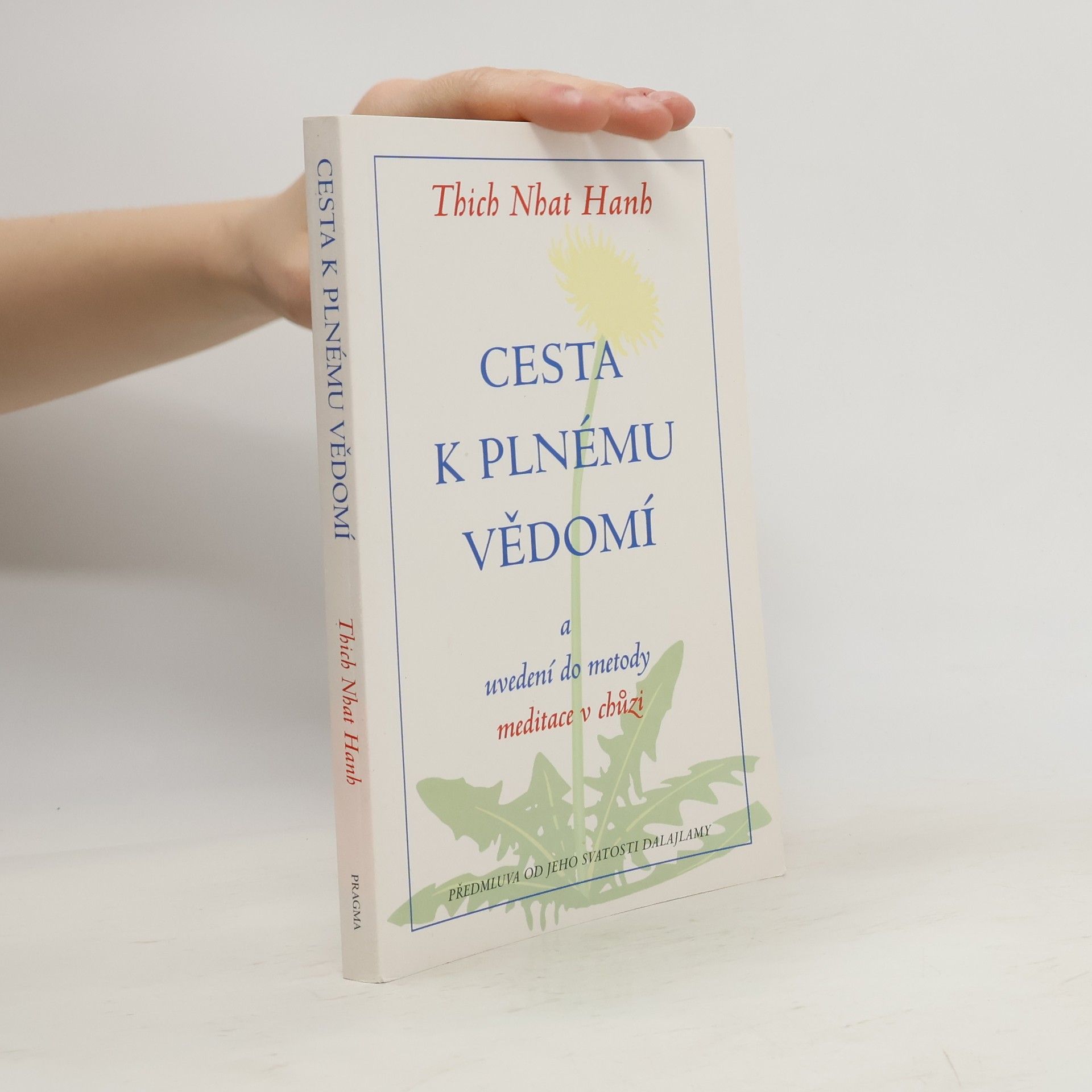 Otto Jeřábek Cesta k plnému vědomí a uvedení do metody meditace v chůzi