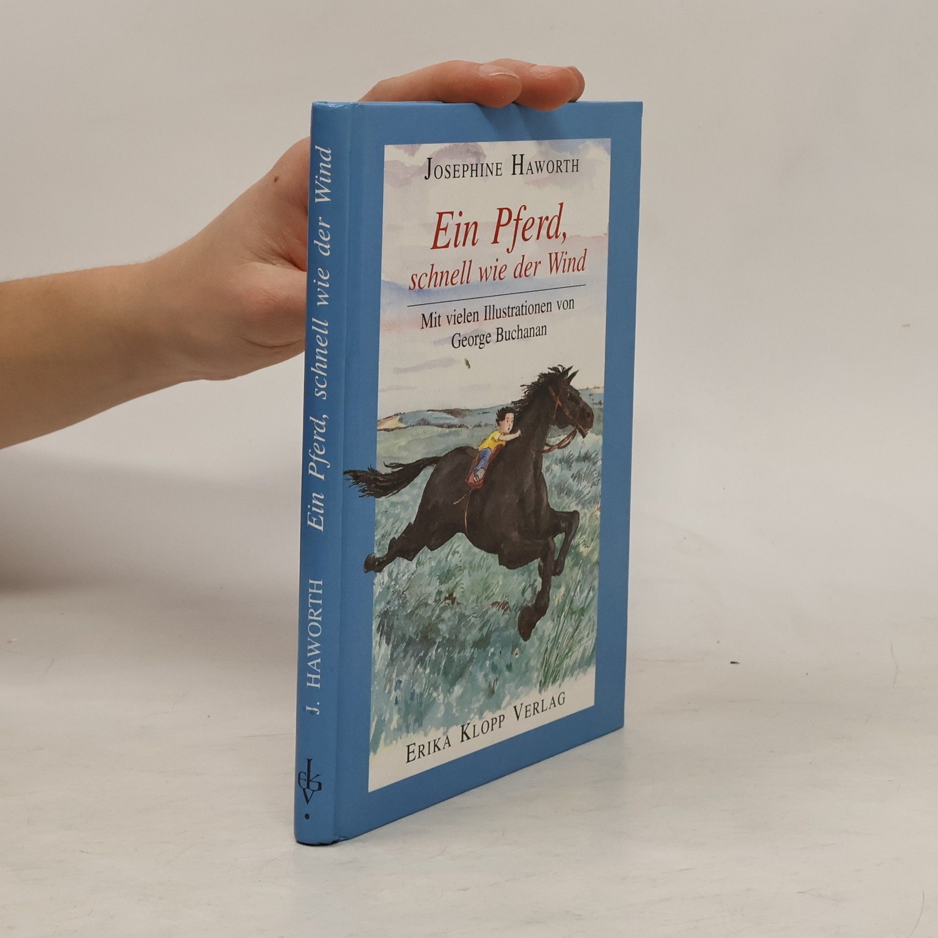 Ein Pferd, schnell wie der Wind