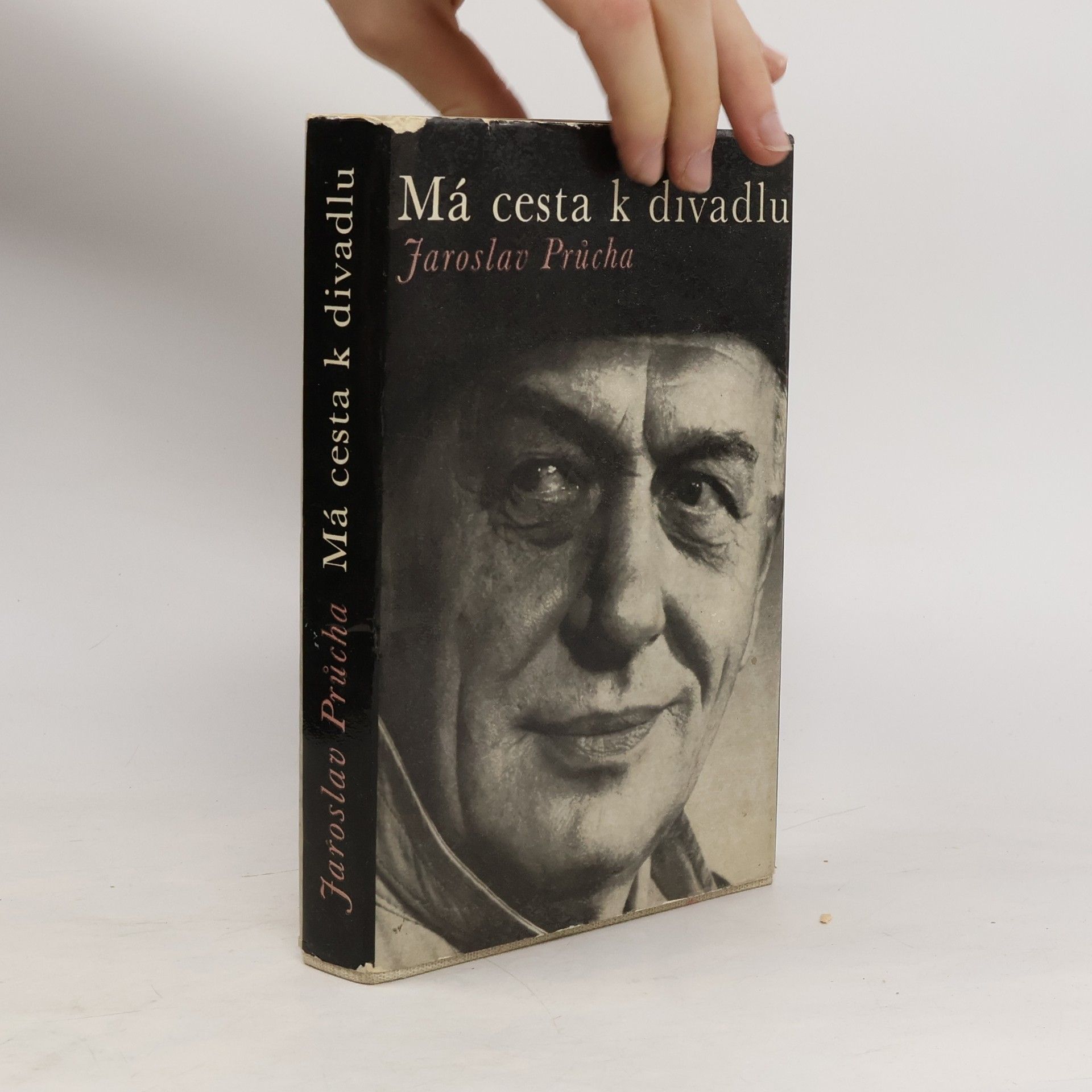 Ludvík Páleníček Má cesta k divadlu