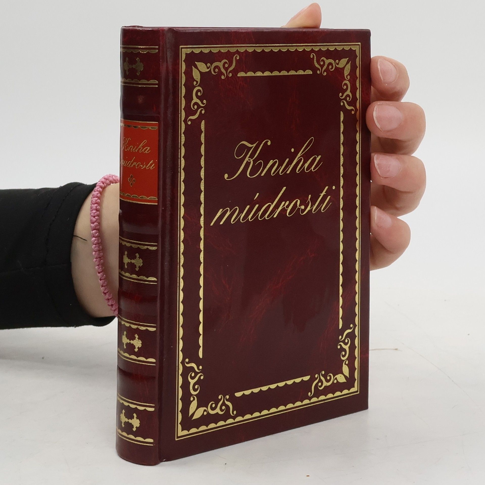 Autores varios Kniha múdrosti