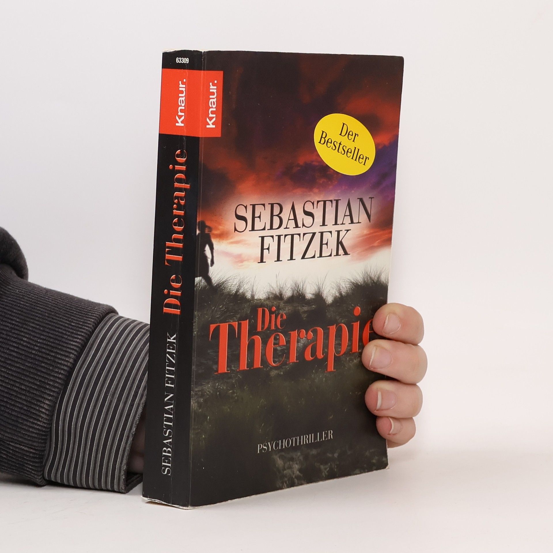 Sebastian Fitzek Die Therapie