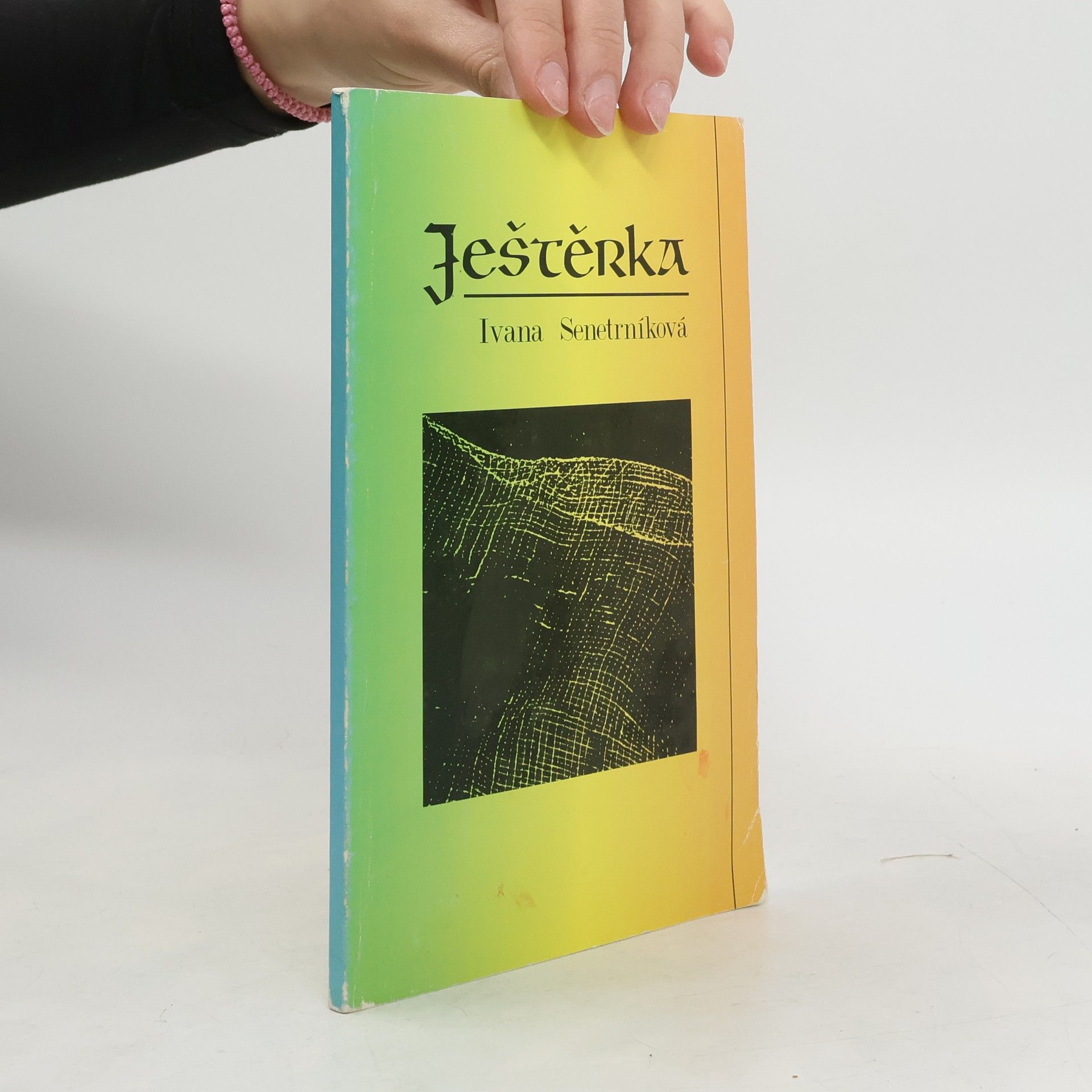 Ivana Sanetrníková Ještěrka